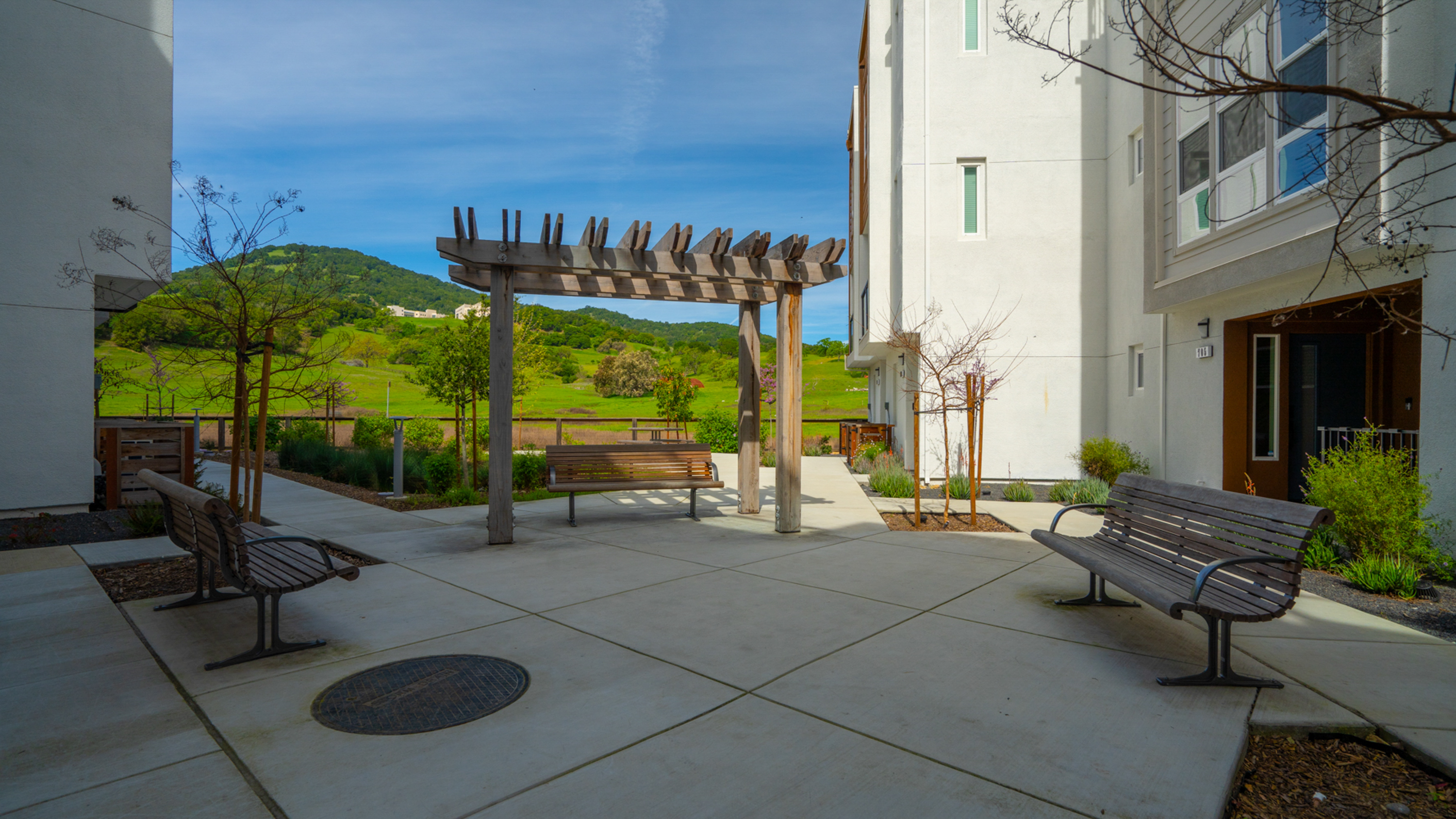  Modern Townhome in Novato - 物件實景