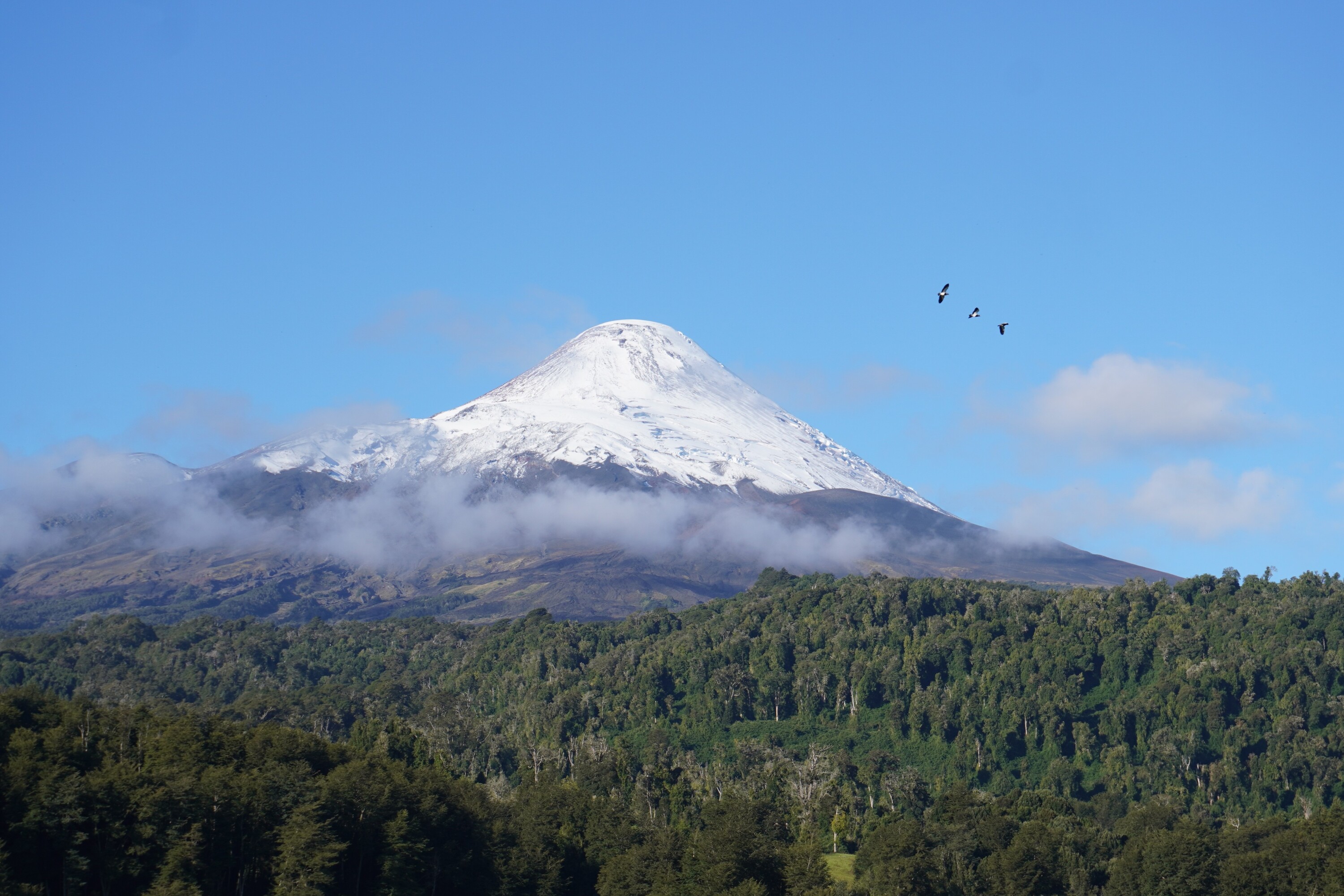  Cascadas 655 - 物件實景
