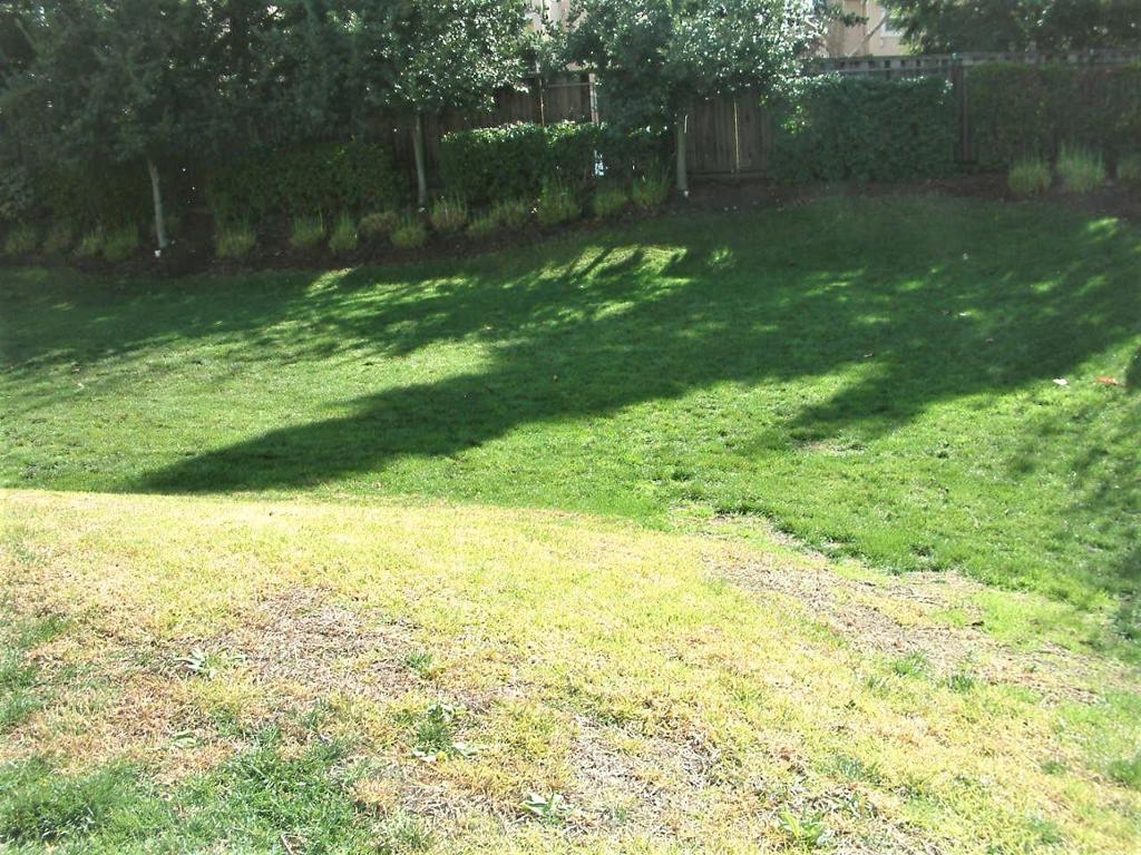 Gilroy, California, 95020, United States, 3 Bedrooms Bedrooms, ,3 BathroomsBathrooms,Residential,For Sale,1825203
