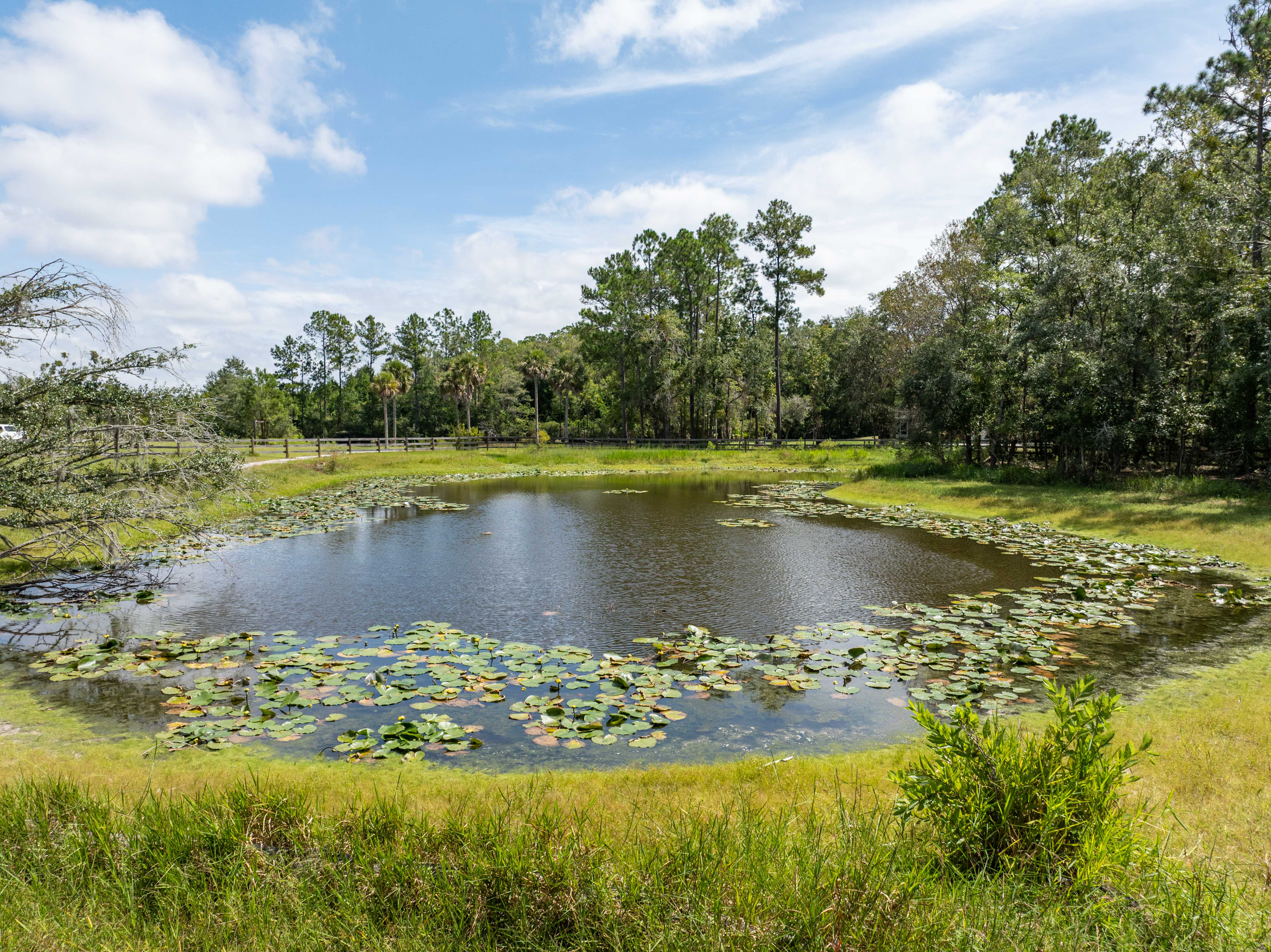 LAKE CITY, Florida, 32024, United States, 3 Bedrooms Bedrooms, ,2 BathroomsBathrooms,Residential,For Sale,1948883