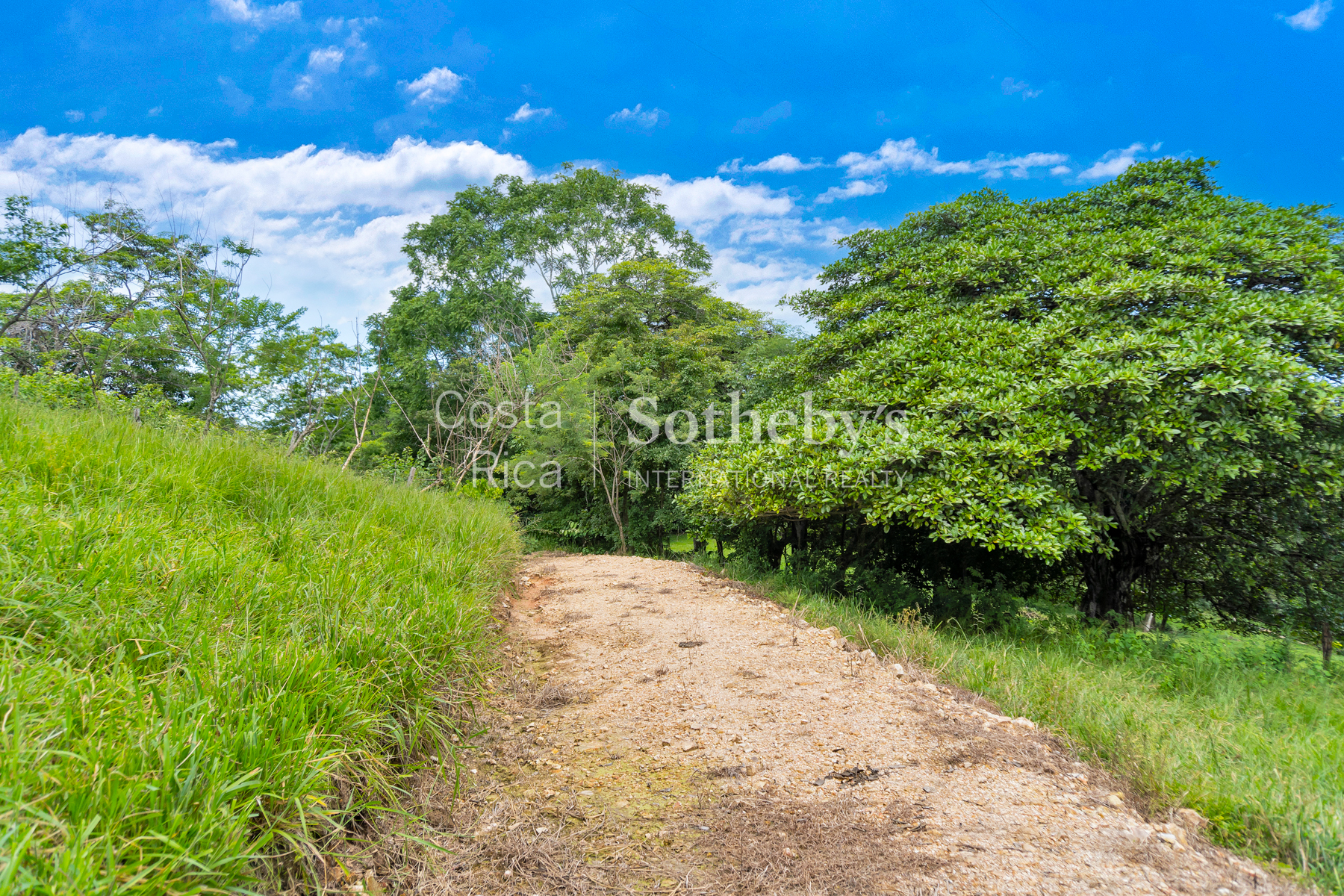  Vistamar Esparza Development Land - 物件實景