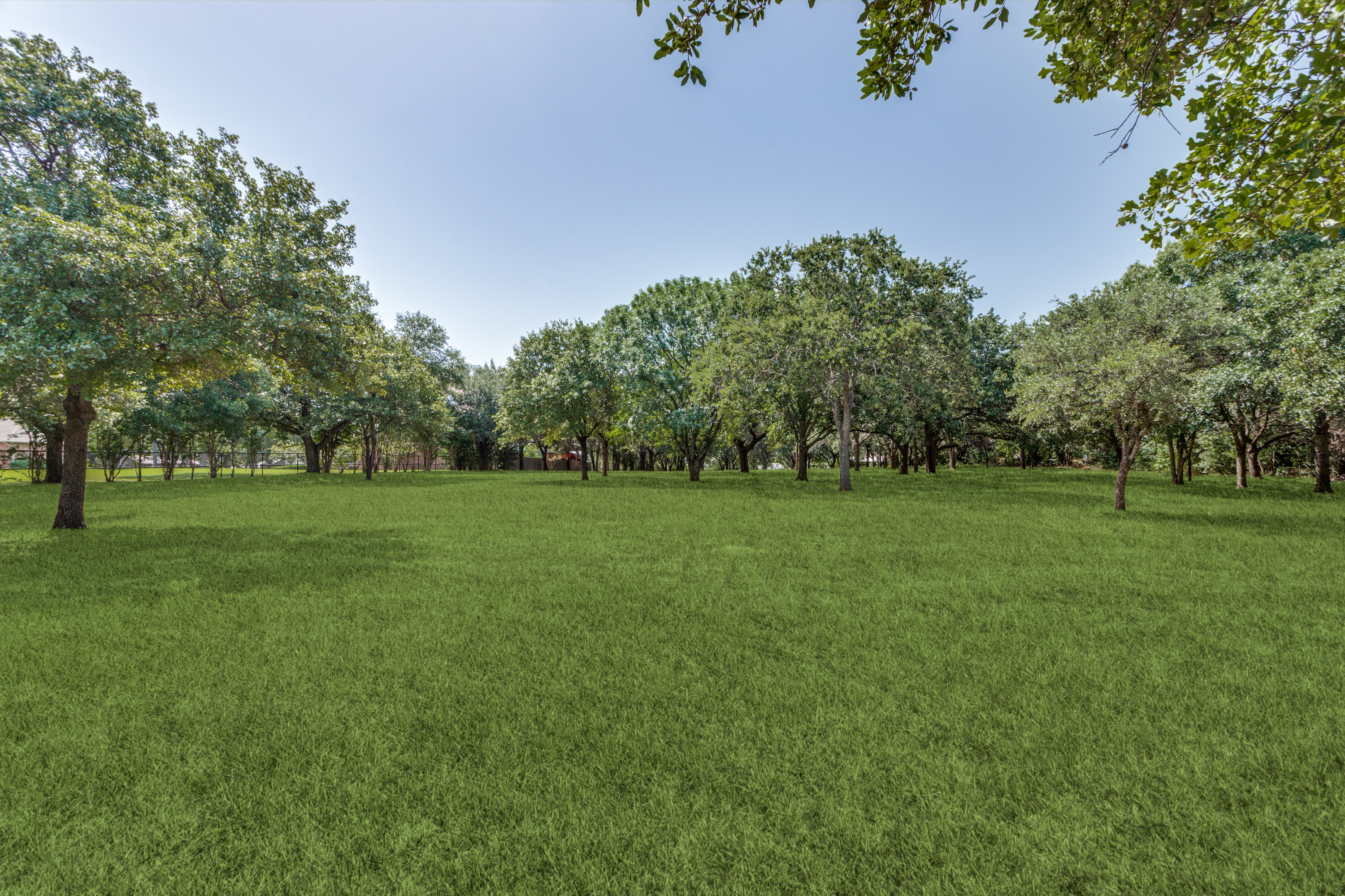 A Picturesque 2-Acre Wooded Lot in Mansfield - 物件實景