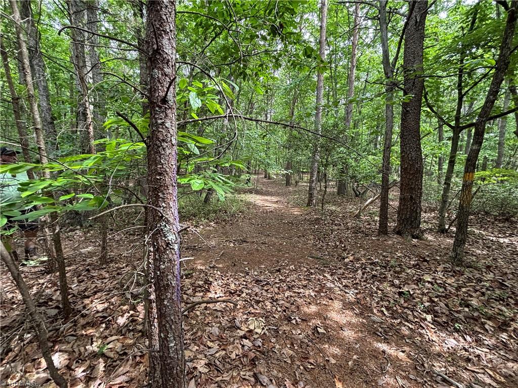 Pinnacle, North Carolina, 27043, United States, ,Land,For Sale,1829534
