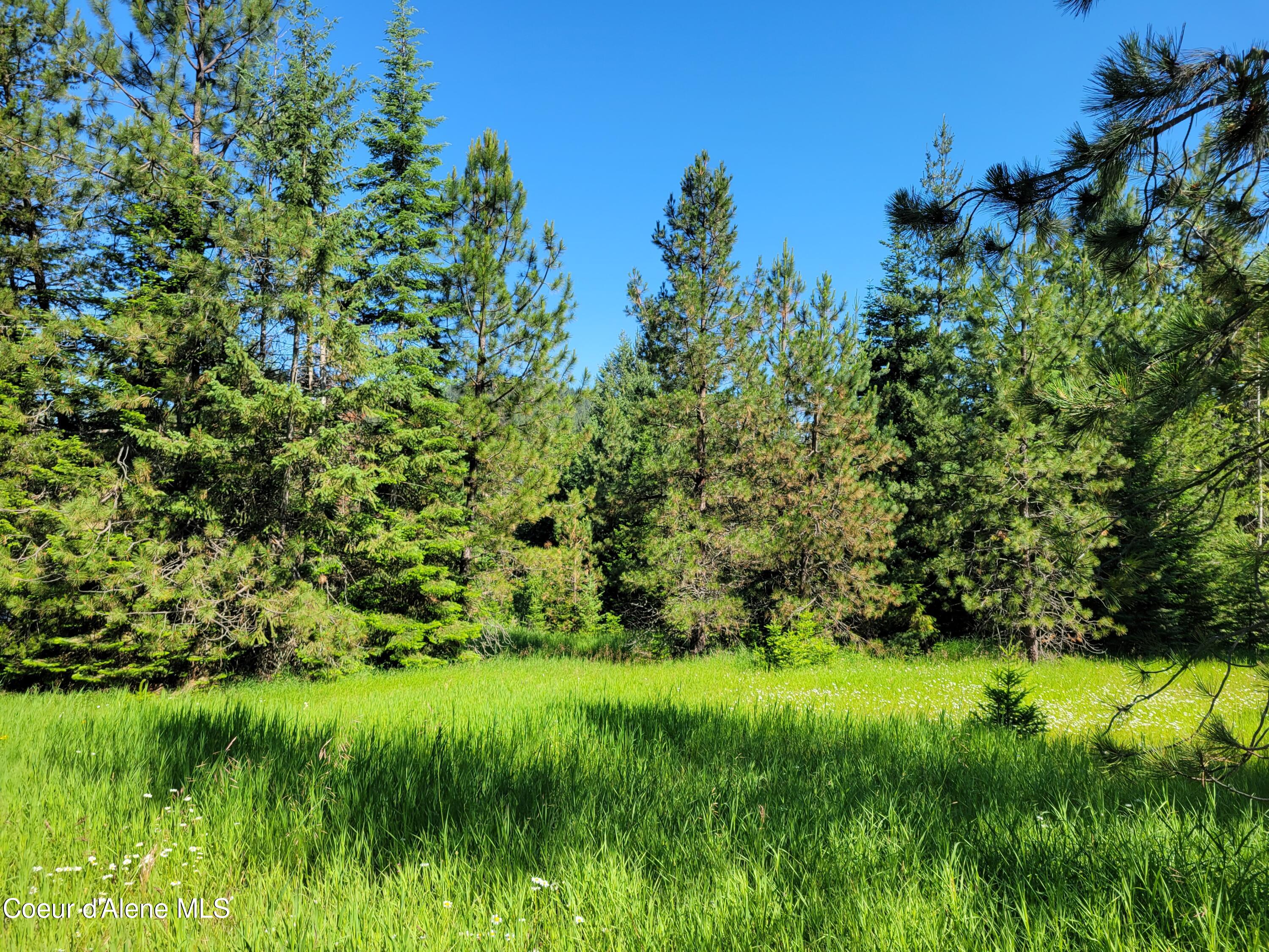 Coeur d'Alene, Idaho, 83814, United States, ,Residential,For Sale,1937421