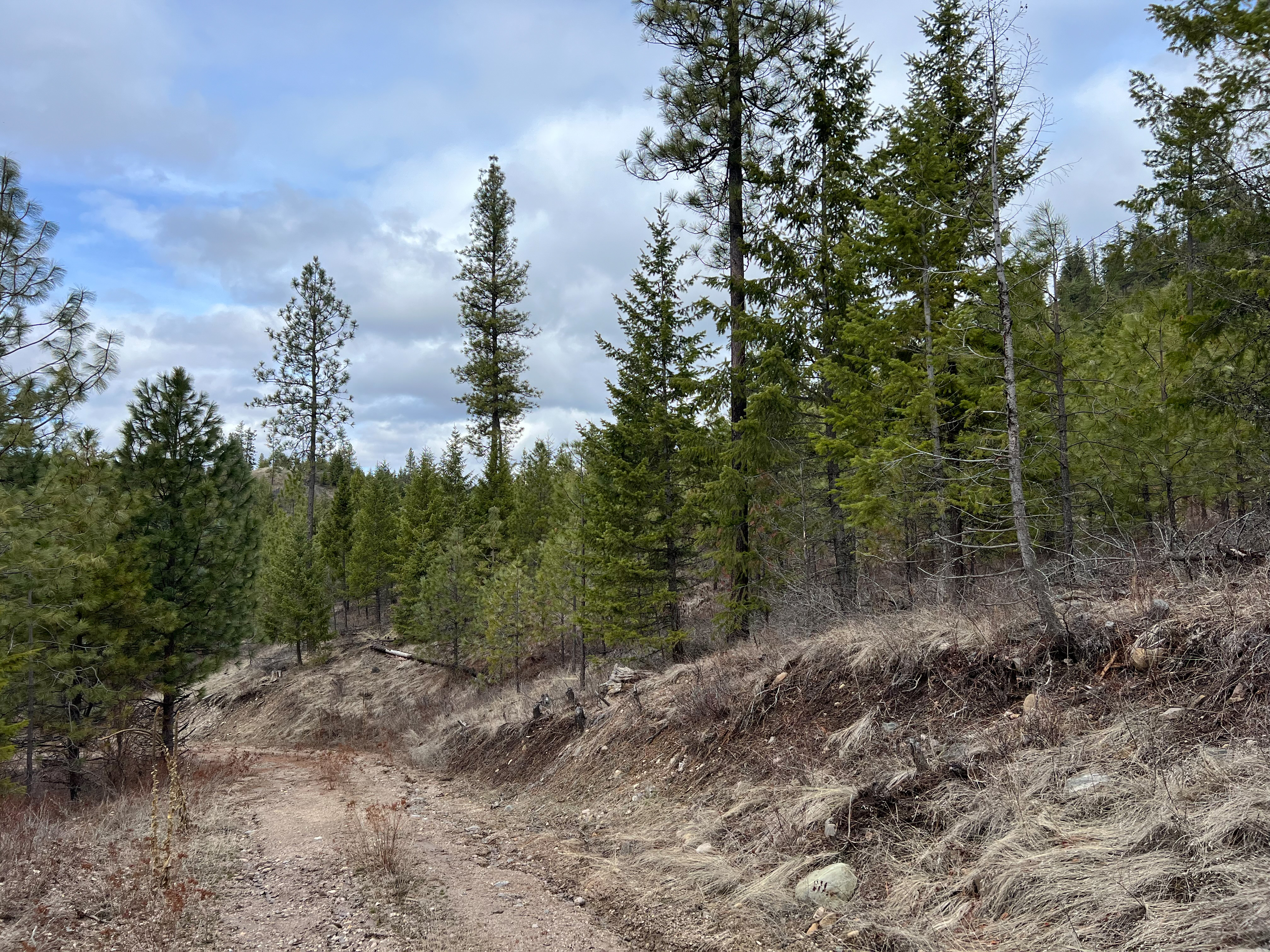 Valley, Washington, 99181, United States, ,Land,For Sale,1979391