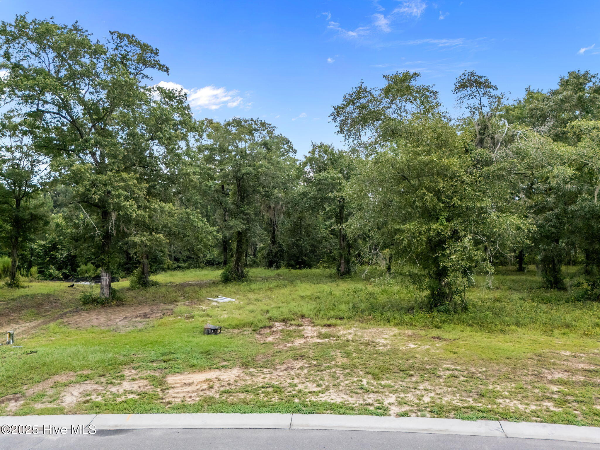 Leland, North Carolina, 28451, United States, 4 Bedrooms Bedrooms, ,3 BathroomsBathrooms,Residential,For Sale,2005268