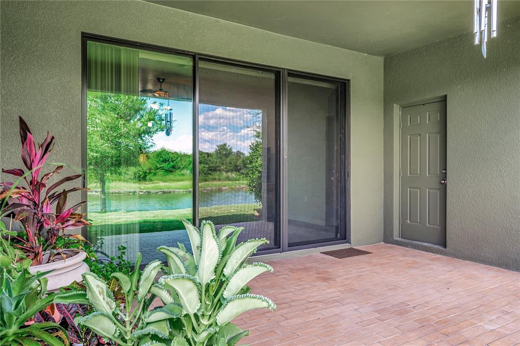 Wesley Chapel, Florida, 33545, United States, 5 Bedrooms Bedrooms, ,3 BathroomsBathrooms,Residential,For Sale,1941692