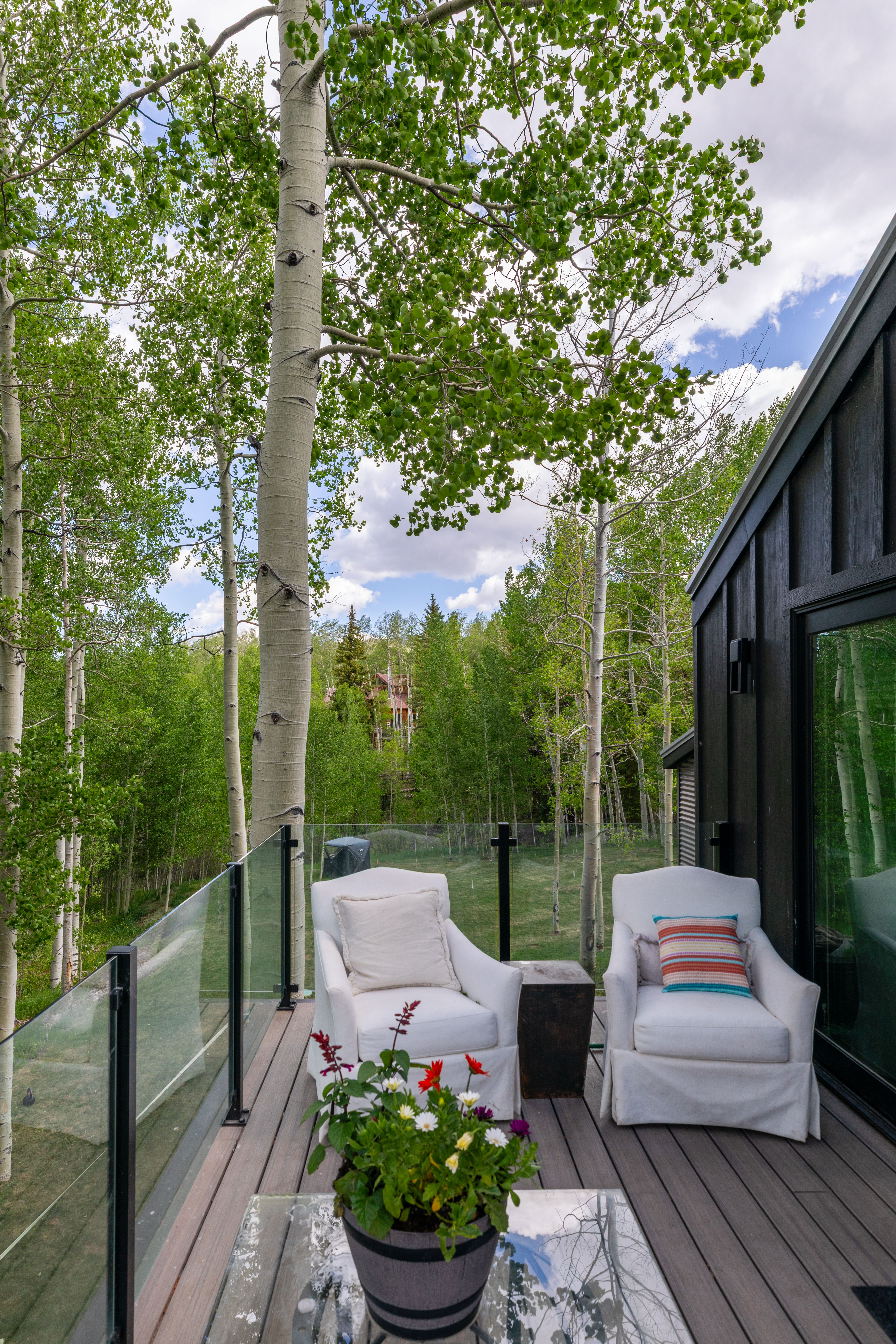  Secluded 4 Bed / 4 Bath Telluride Property - 物件實景