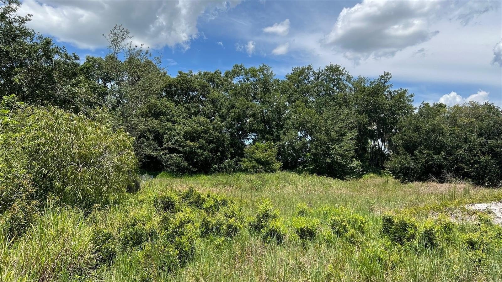 AUBURNDALE, Florida, 33823, United States, ,Land,For Sale,1977523