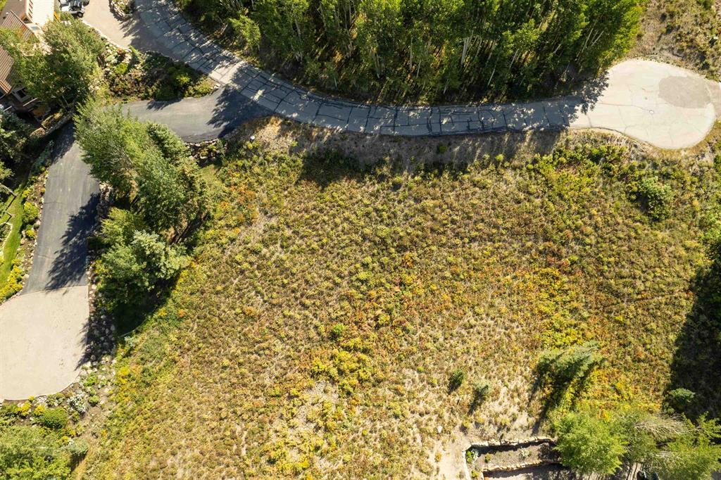 Mt. Crested Butte, Colorado, 81225, United States, ,Land,For Sale,1731584