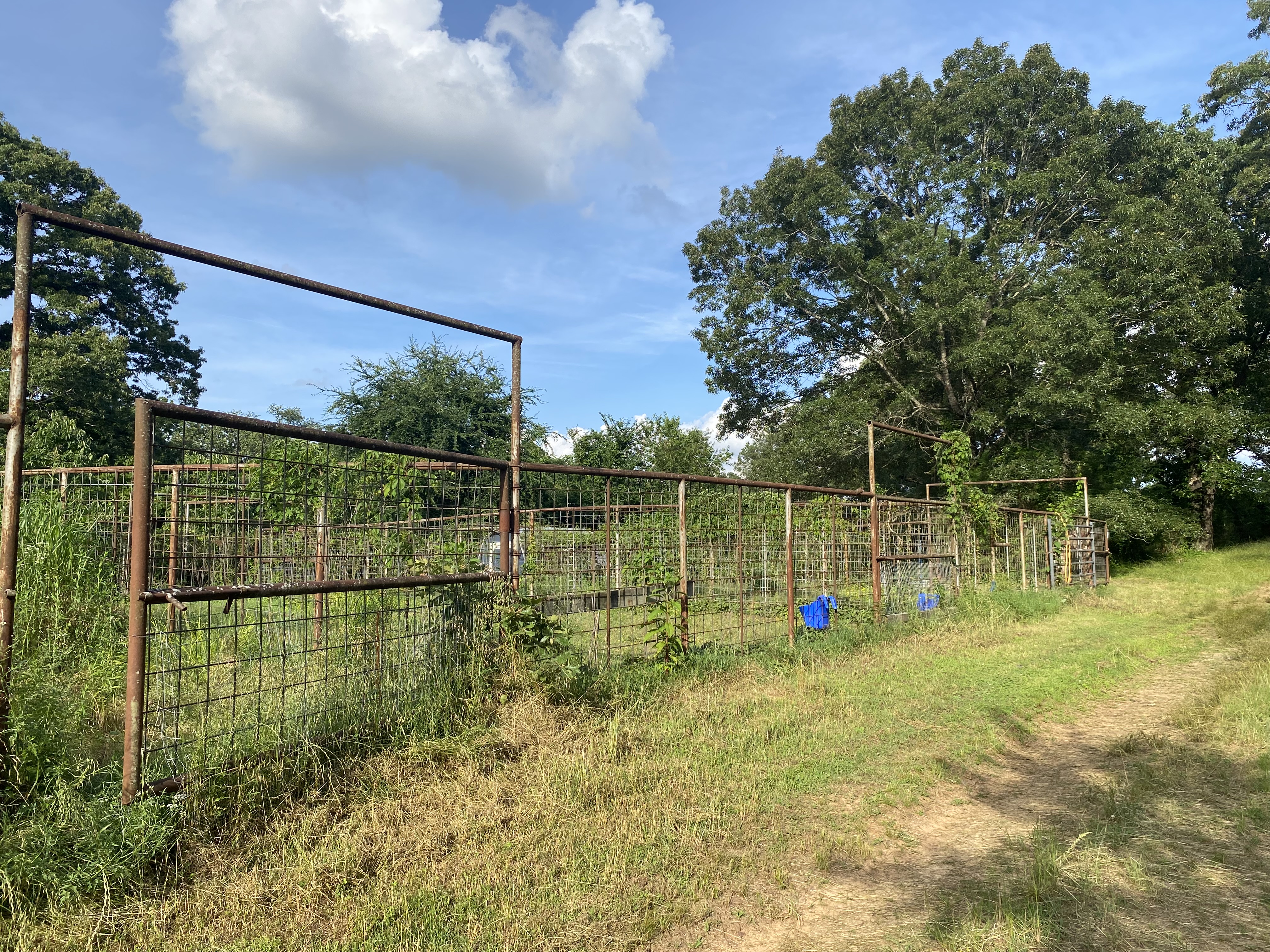 Clarksville, Arkansas, 72830, United States, 7 Bedrooms Bedrooms, ,3 BathroomsBathrooms,Residential,For Sale,2005713