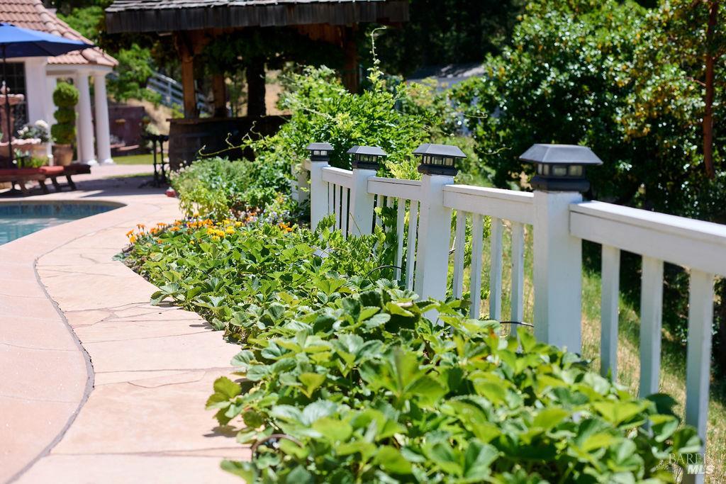 Redwood Valley, California, 95470-8010, United States, 3 Bedrooms Bedrooms, ,2 BathroomsBathrooms,Residential,For Sale,1984443