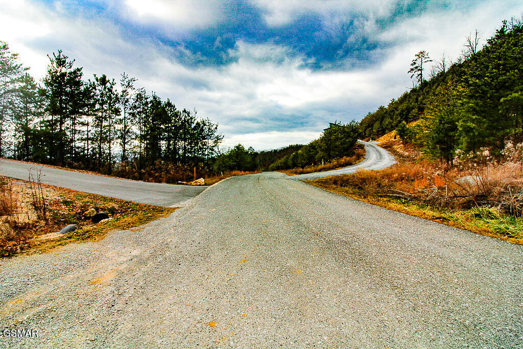 Sevierville, Tennessee, 37876, United States, ,Land,For Sale,2008093