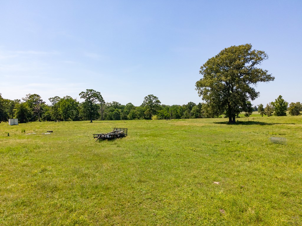 Pollok, Texas, 75969, United States, ,Residential,For Sale,1928088