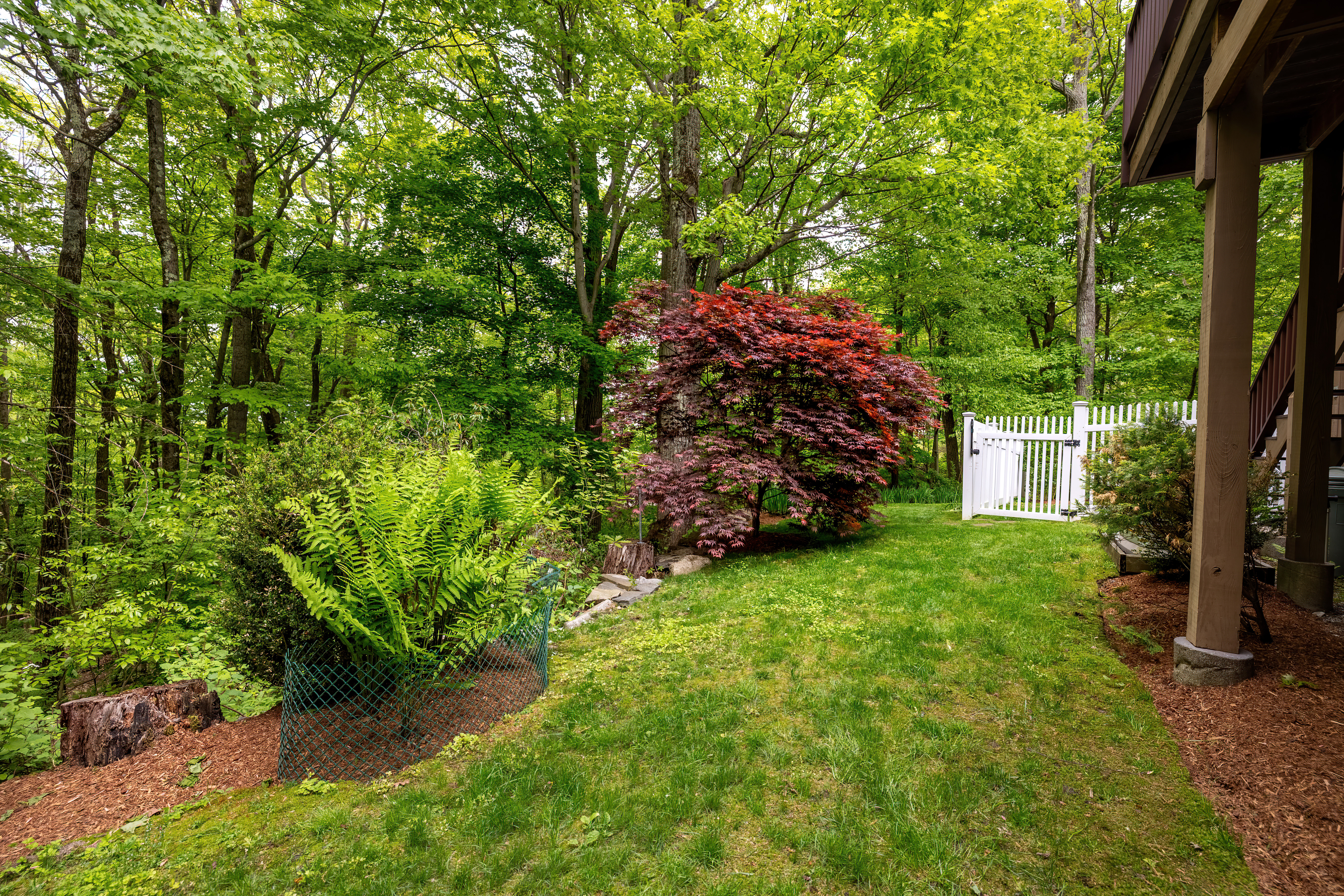  Ridgefield Gem: 3-Bedroom Beauty - 物件實景