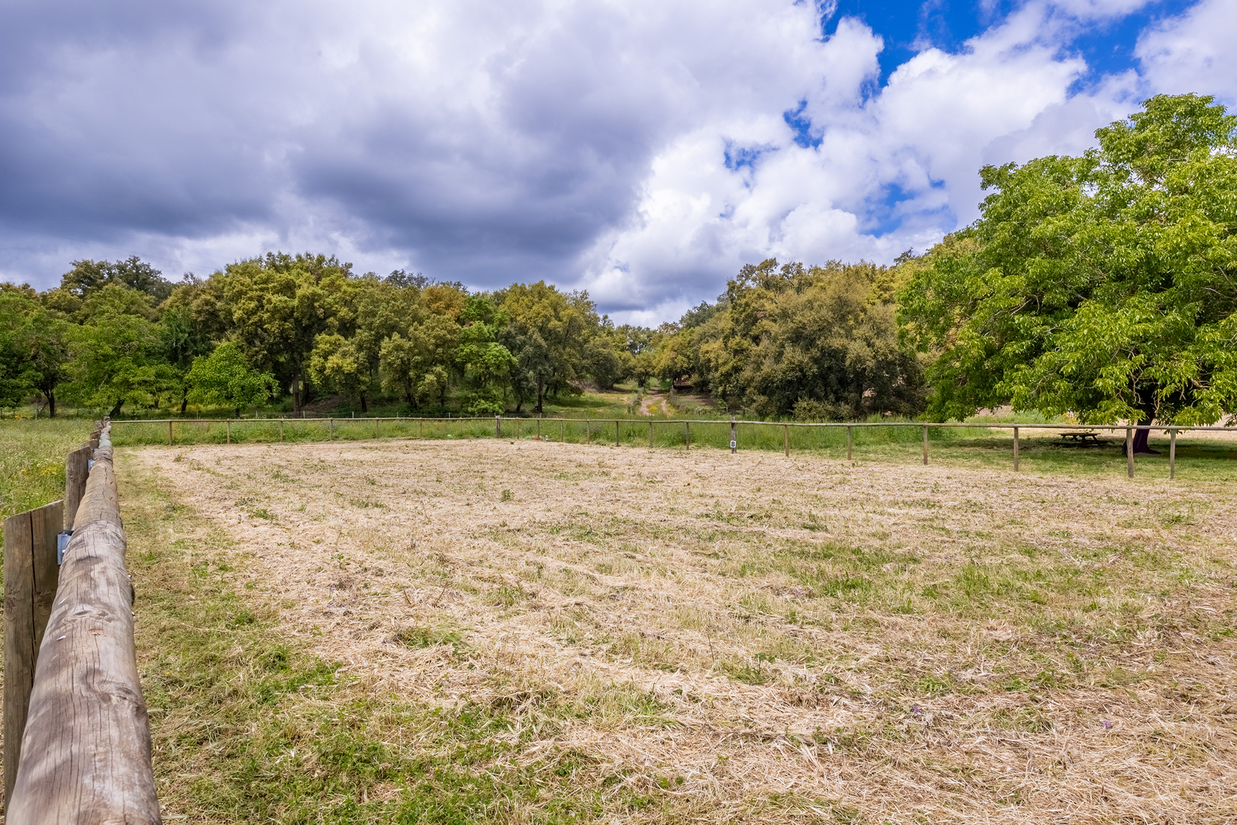  Cattle, equestrian, agricultural, and ecological farm in Aracena