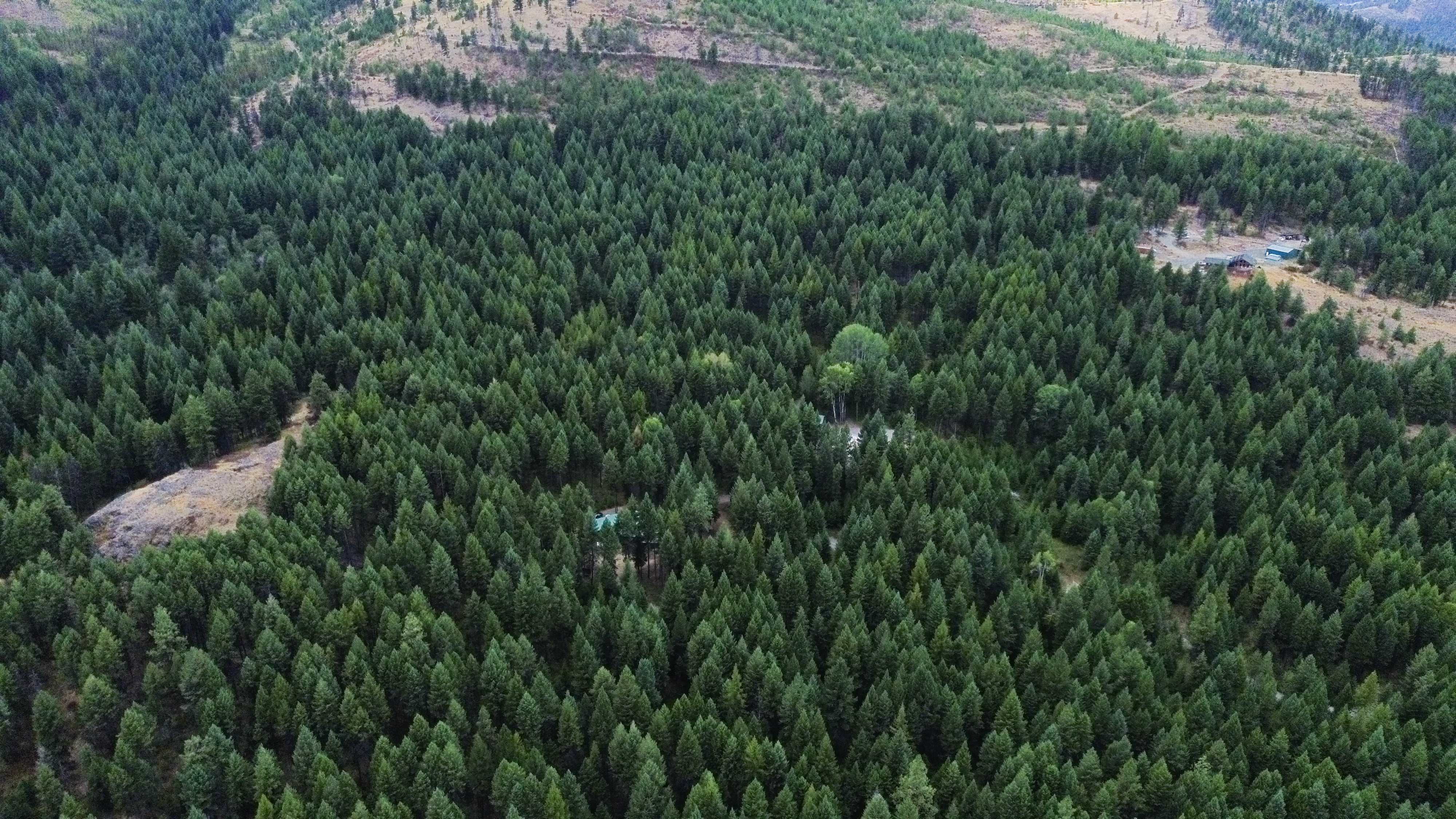 Republic, Washington, 99166, United States, 3 Bedrooms Bedrooms, ,3 BathroomsBathrooms,Residential,For Sale,1976903