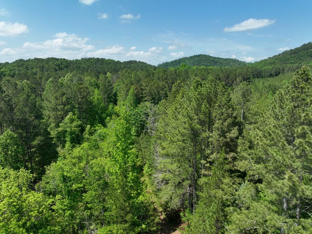 Ranger, Georgia, 30734, United States, ,Residential,For Sale,1924900
