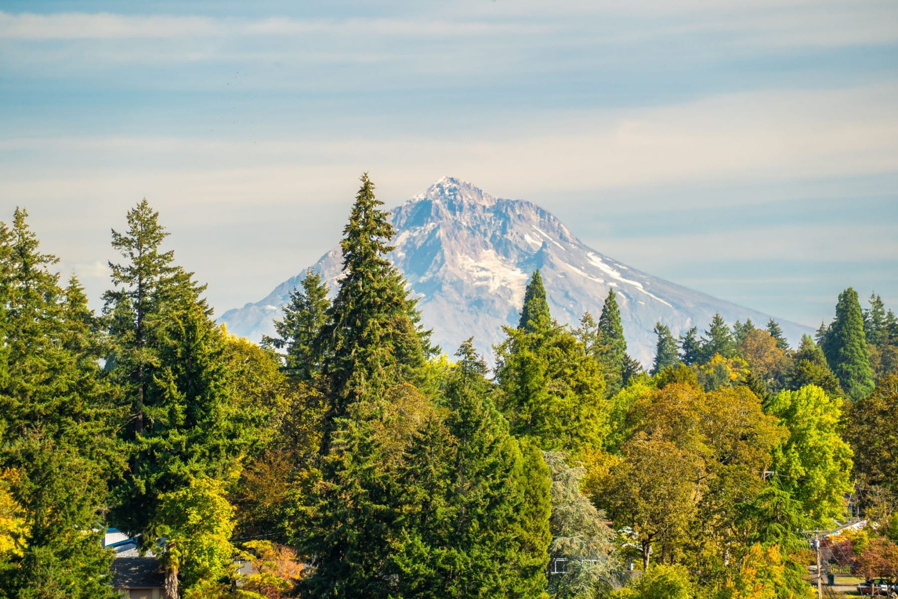  21 D AVE #13 Lake Oswego, OR 97034 - 物件實景