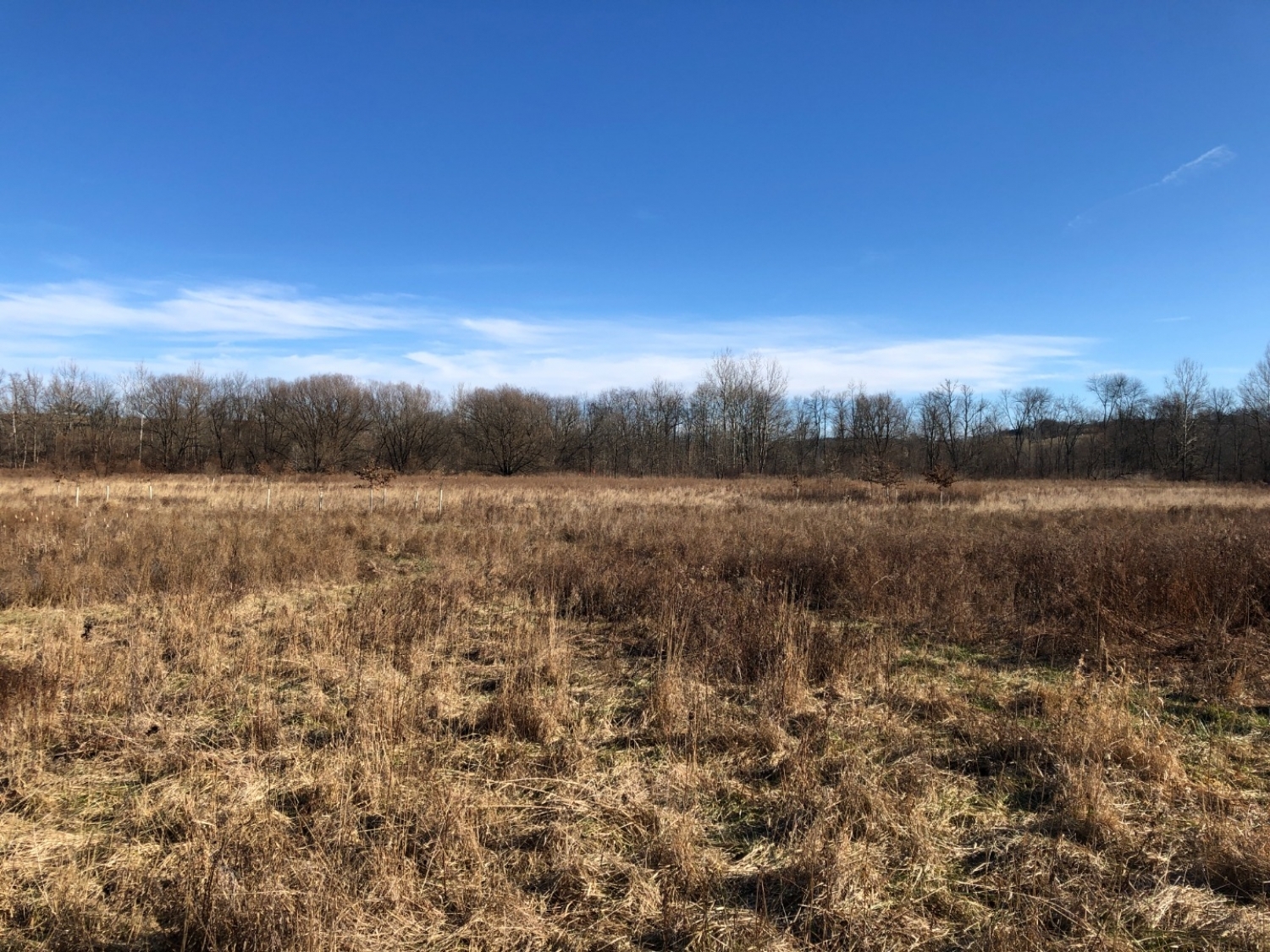 Frankford Twp., New Jersey, 07826, United States, ,Land,For Sale,1794395