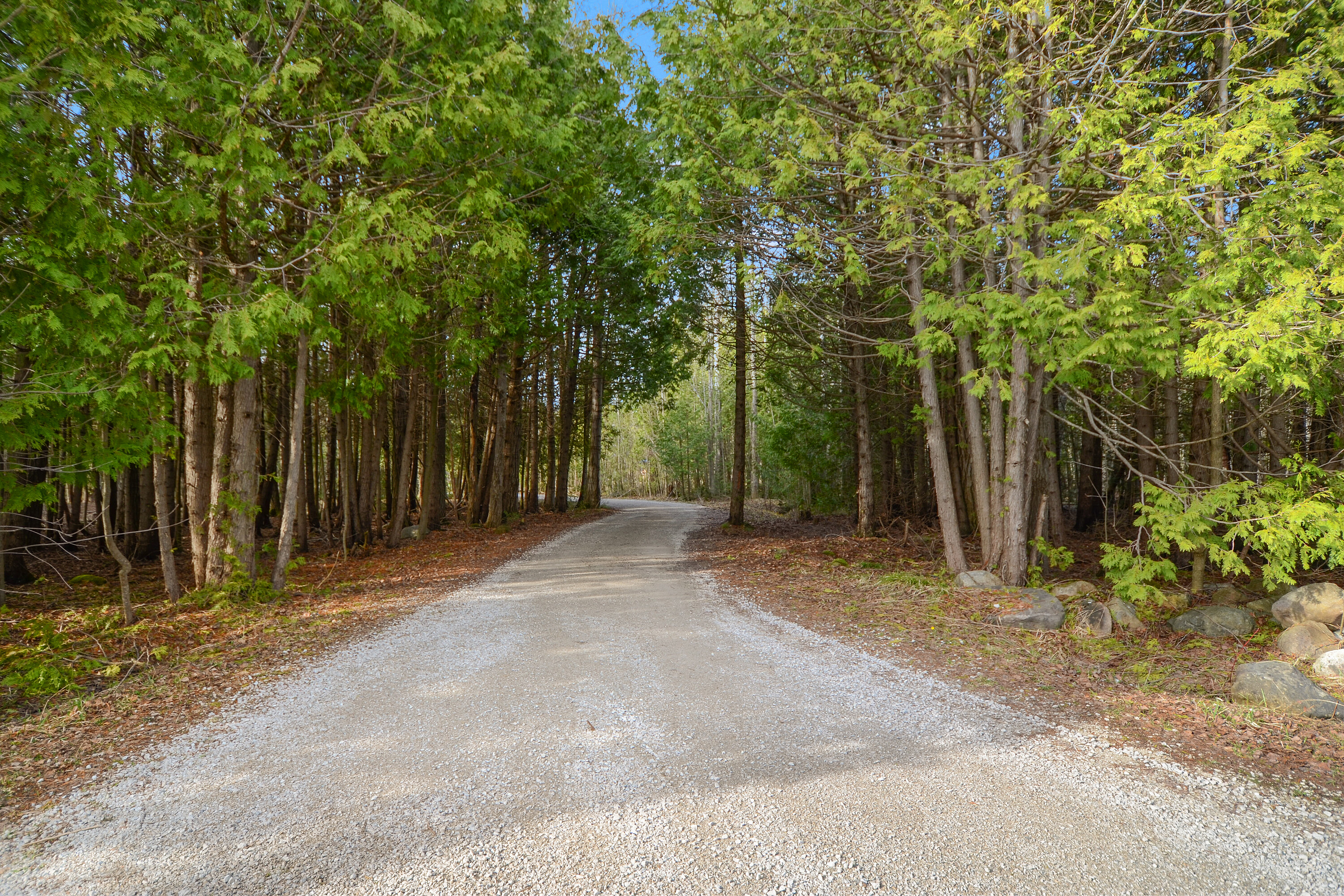  93 Pristine Acres of Privacy - 物件實景