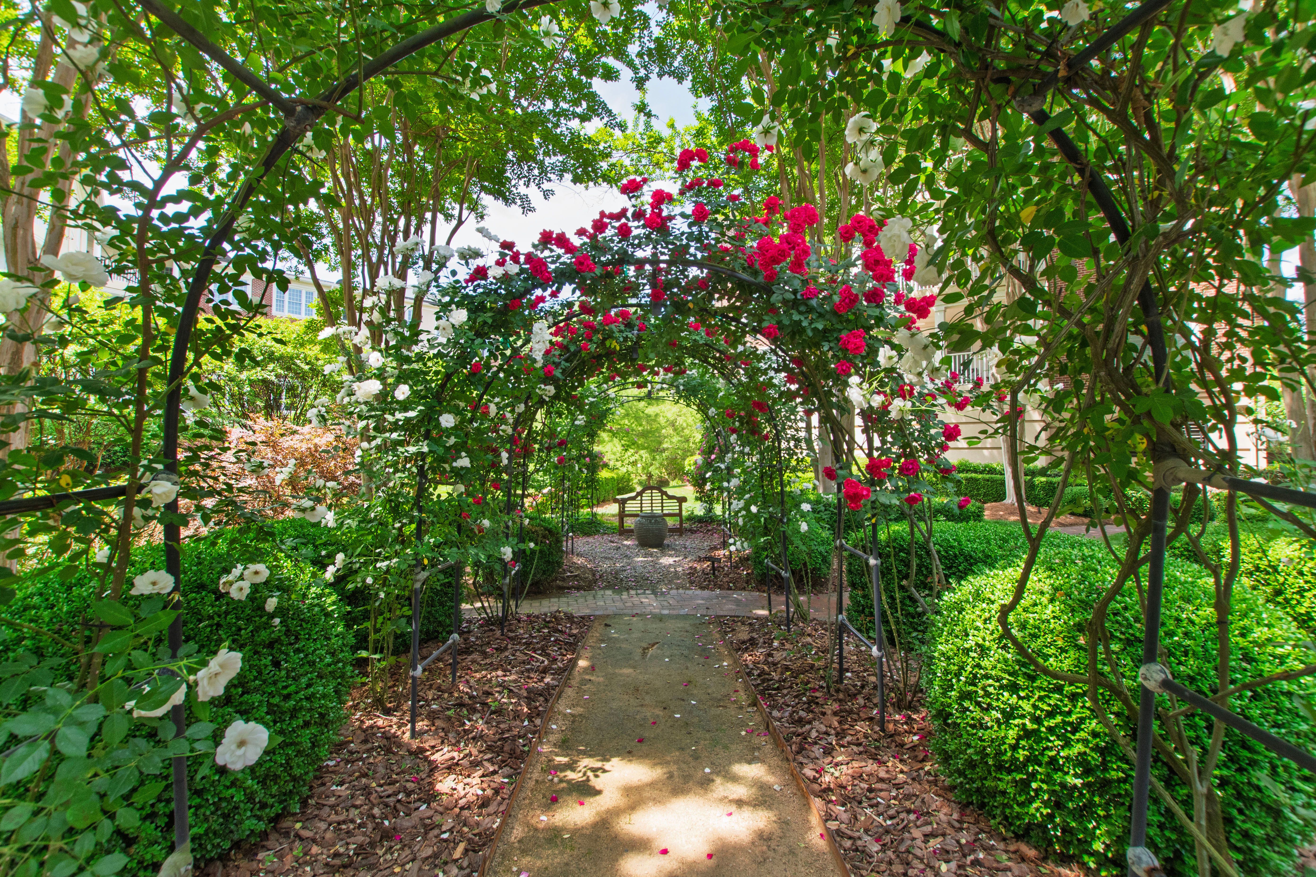  2801 Glenwood Gardens Lane, Raleigh, NC 27608 - 物件實景