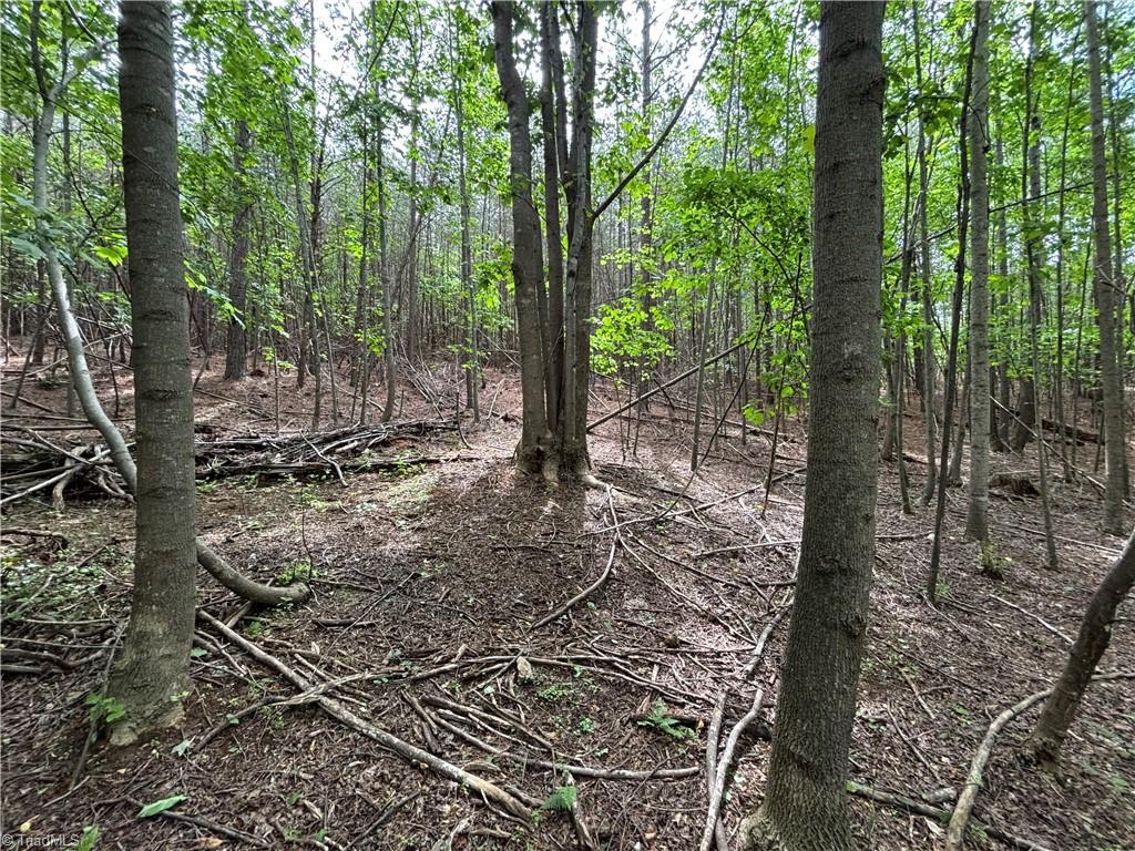 Pinnacle, North Carolina, 27043, United States, ,Land,For Sale,1829534