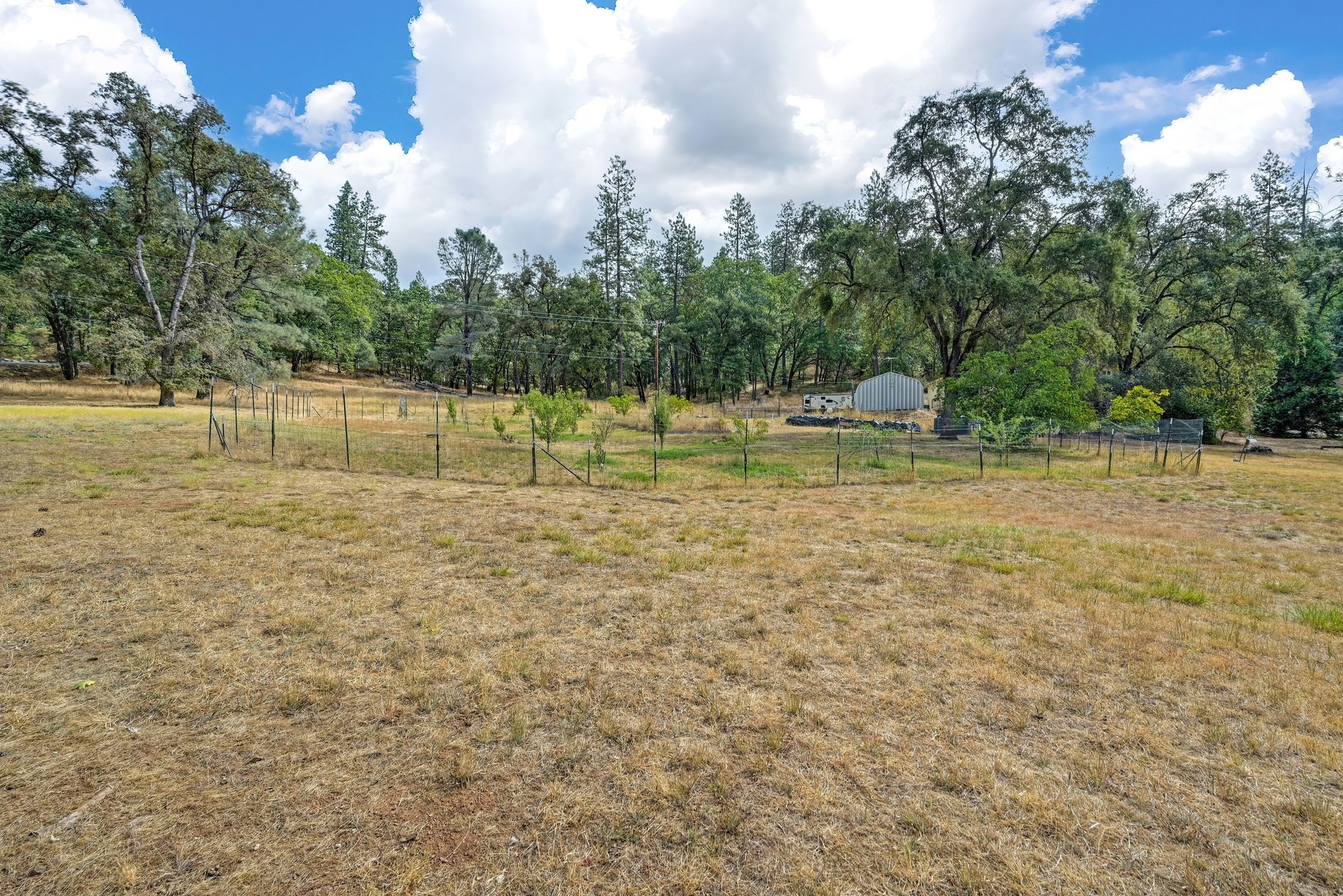  Spacious Grass Valley Country Property, 5 acres, shop and pond - 物件實景