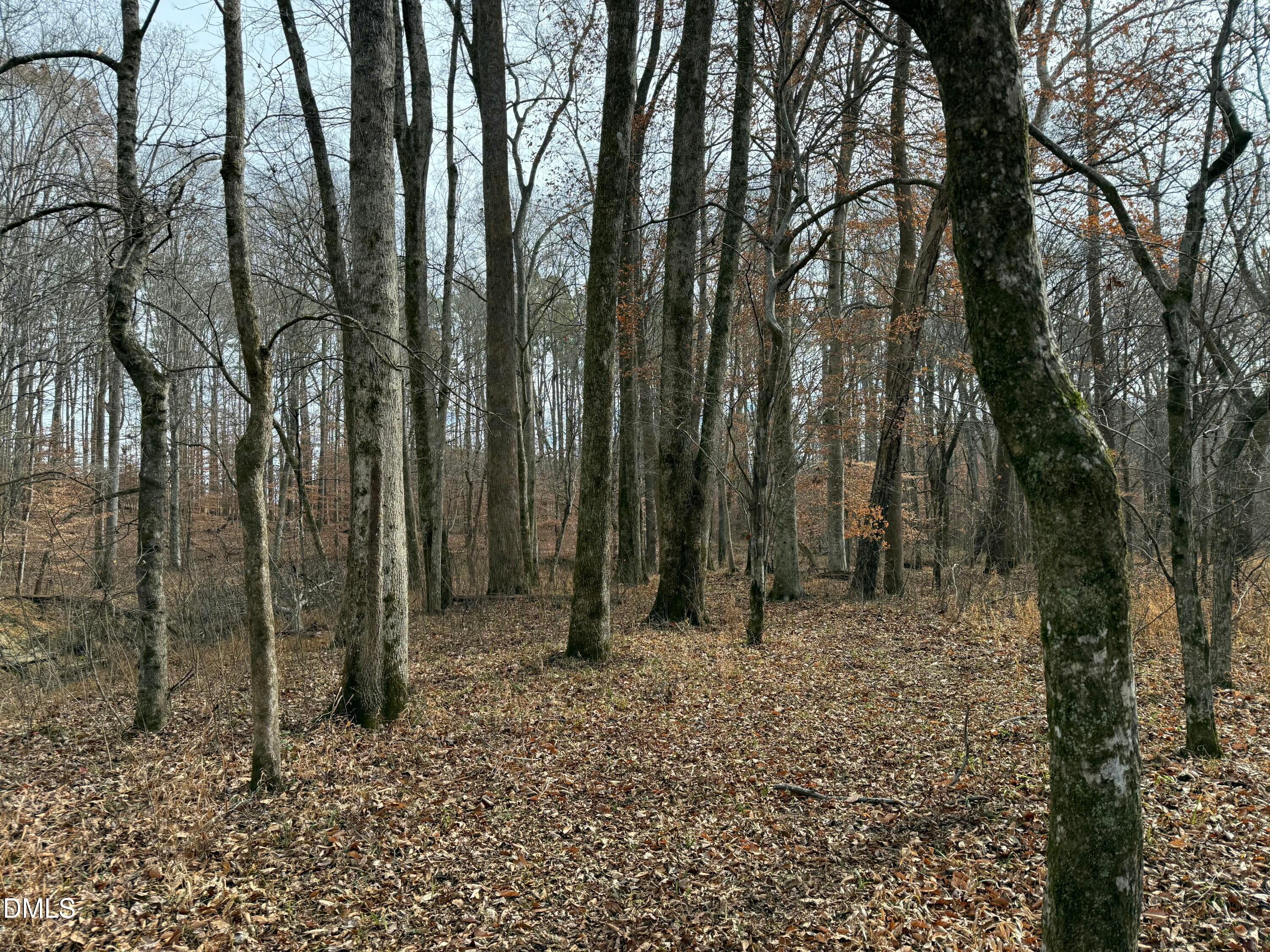 Oxford, North Carolina, 27565, United States, ,Land,For Sale,2000467