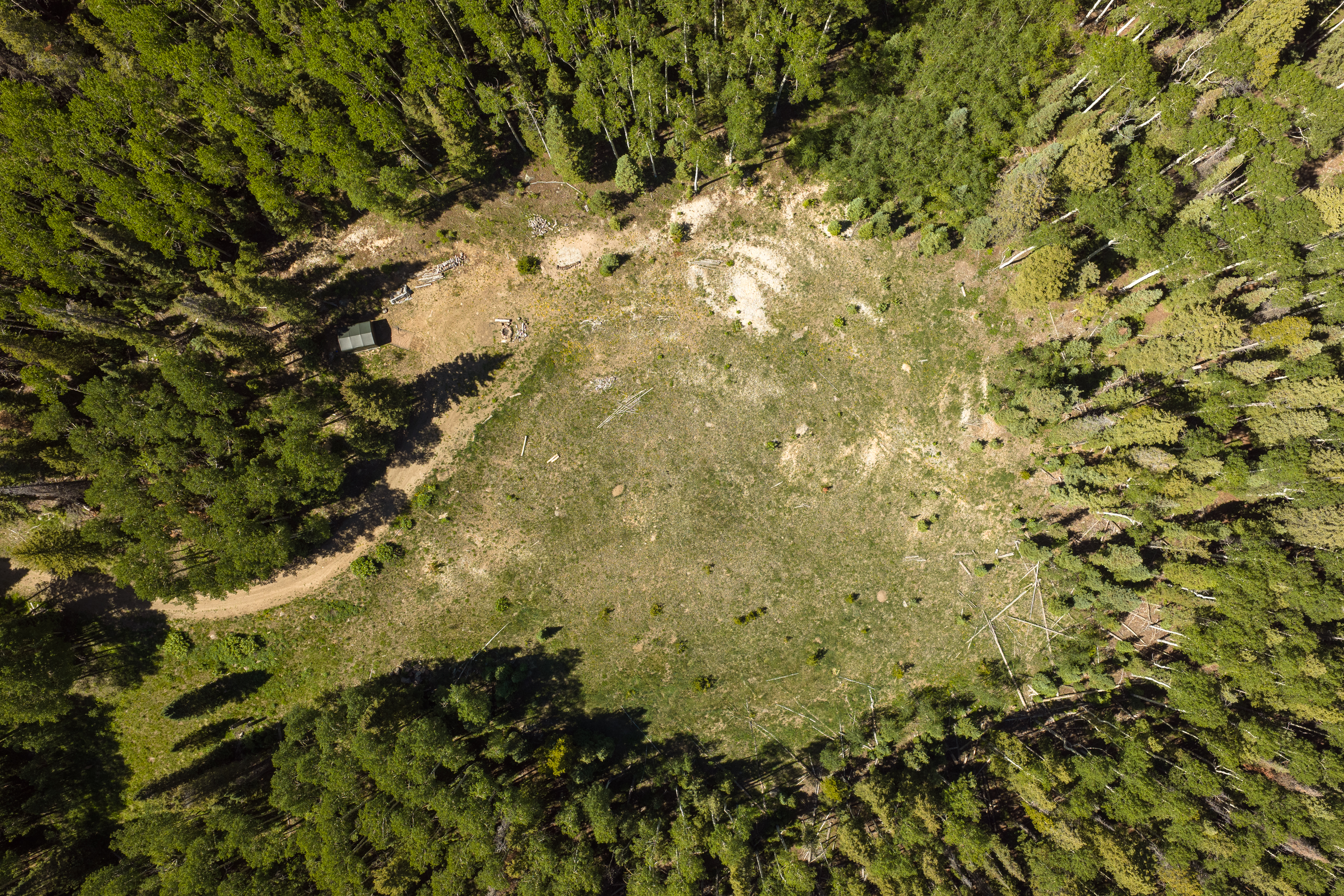  141 White Buffalo Trail, Crested Butte, CO, 81224 - 物件實景