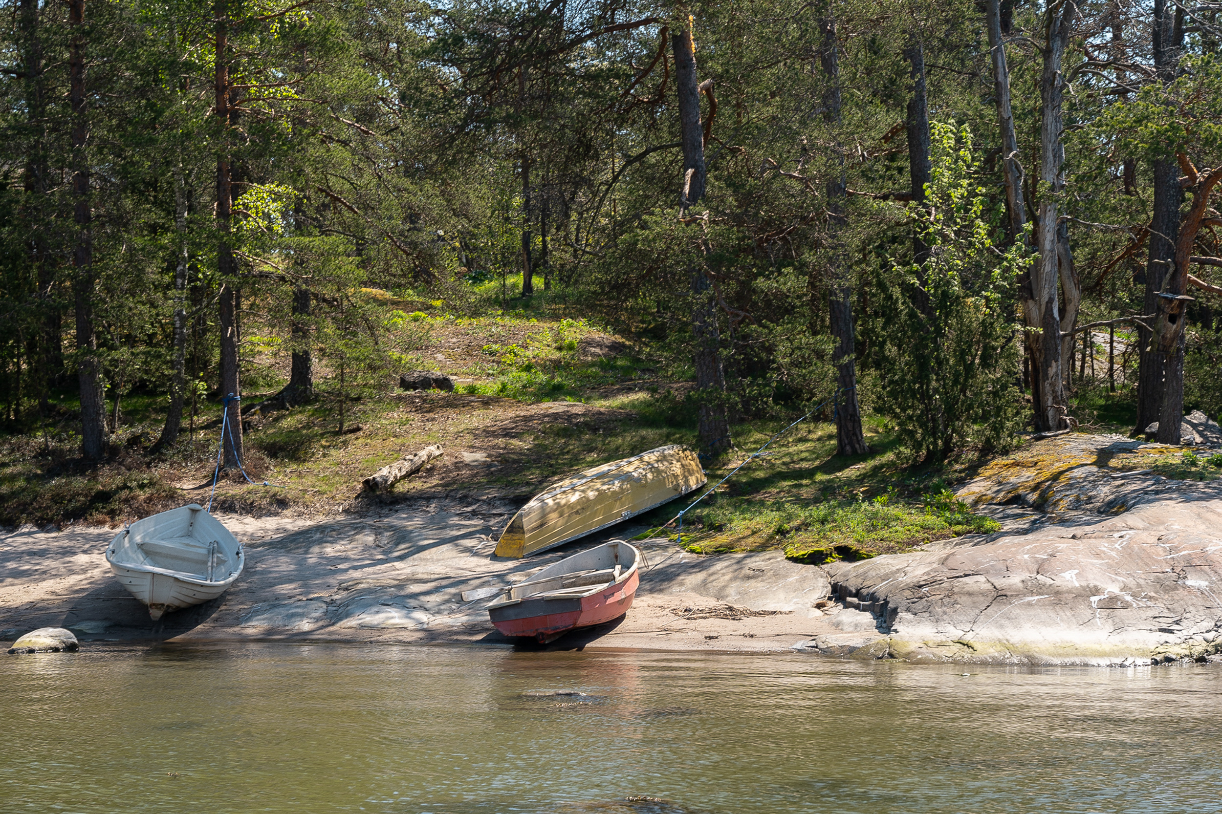  Villa Koli - 物件實景