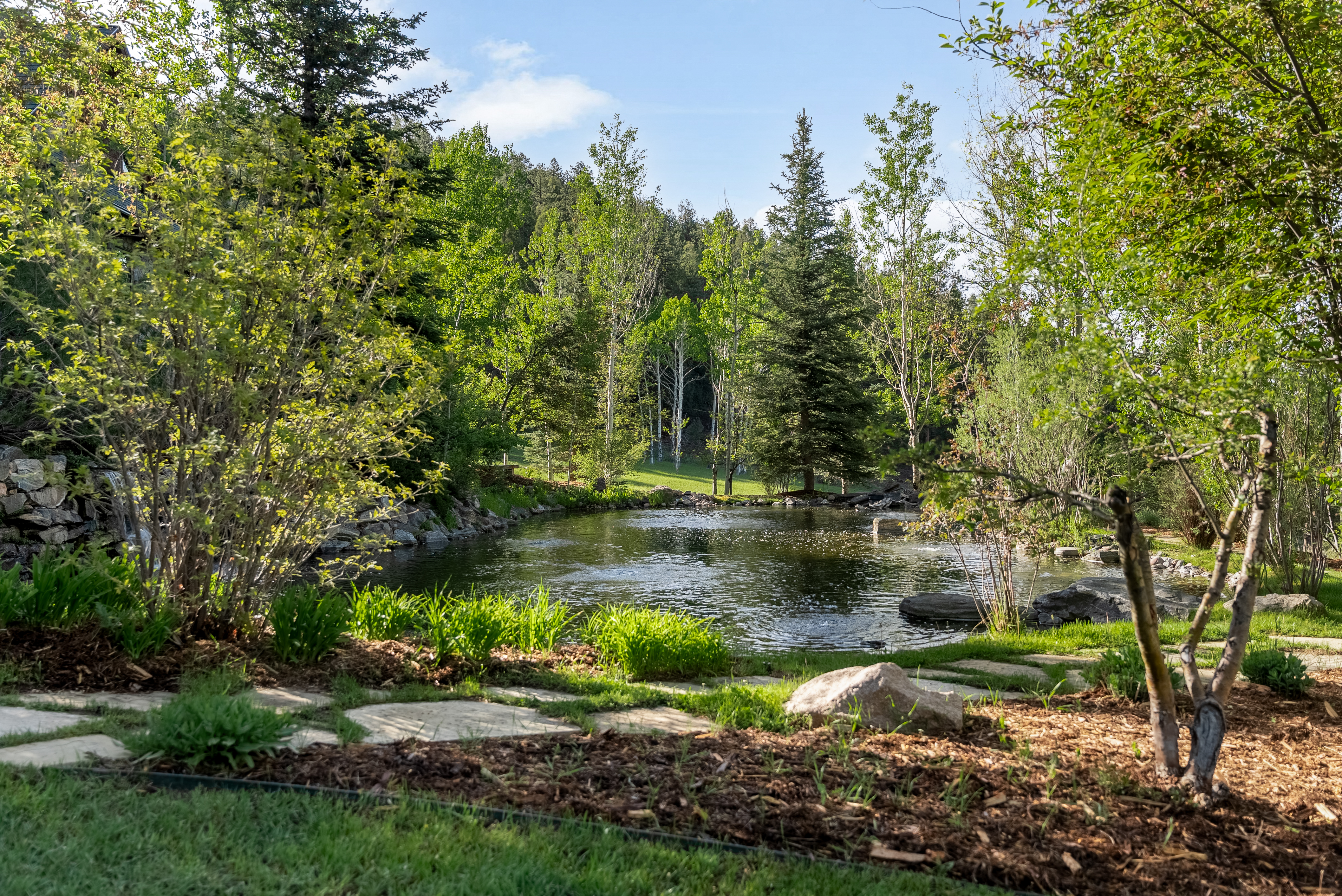  .275 acres of rolling grass, towering trees, & mountain views in every direction - 物件實景
