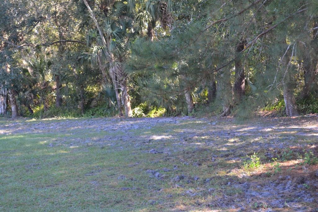 Sanford, Florida, 32773, United States, ,Land,For Sale,1987674