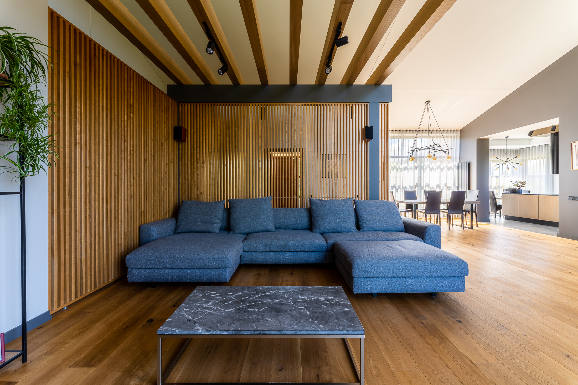  Modern house on the banks of the Lielupe River - 物件實景
