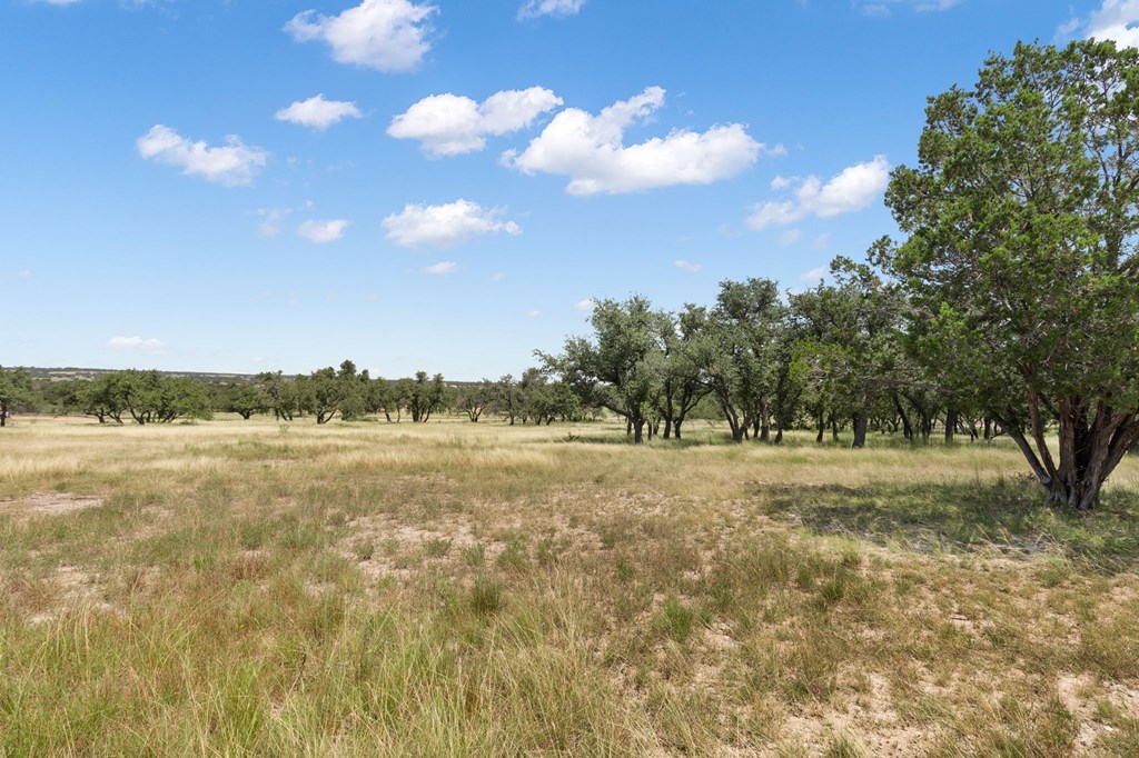 Fredericksburg, Texas, 78624, United States, 3 Bedrooms Bedrooms, ,3 BathroomsBathrooms,Residential,For Sale,1943350