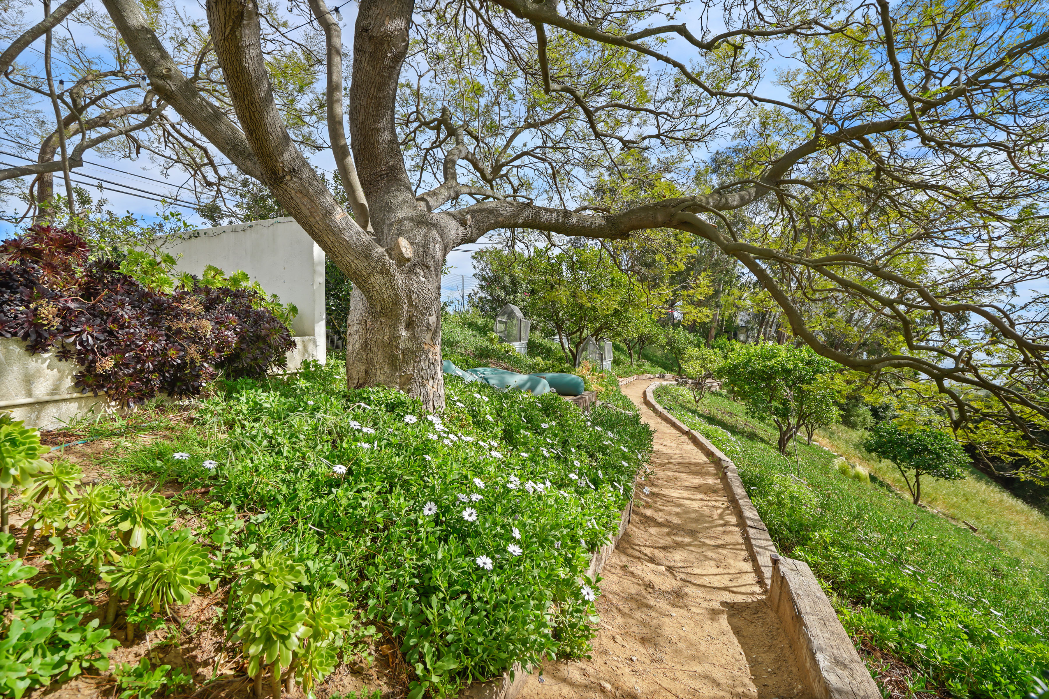  2727 Corral Canyon Road - 物件實景