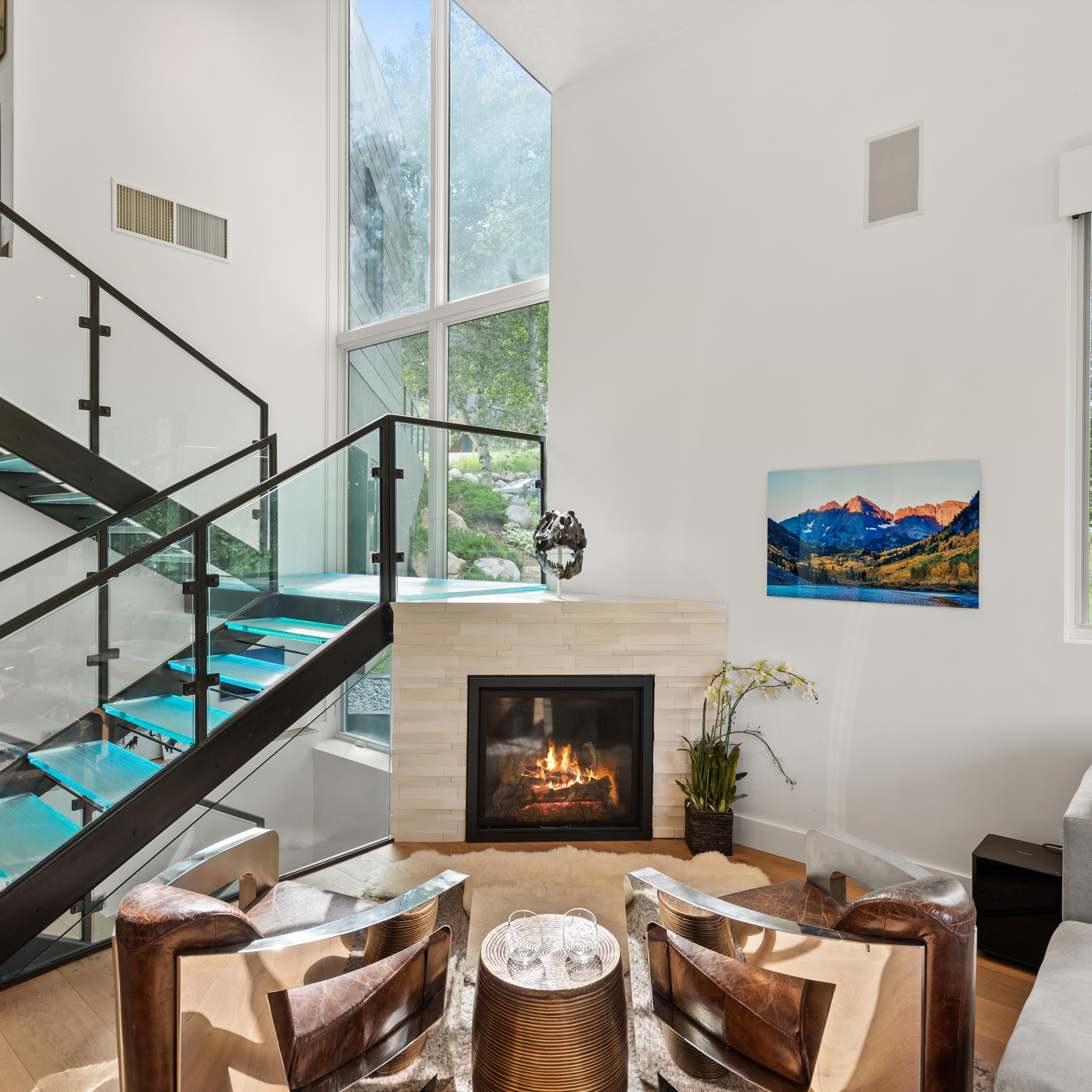  257 Mountain Laurel Drive, Aspen, CO, 81611 - 物件實景