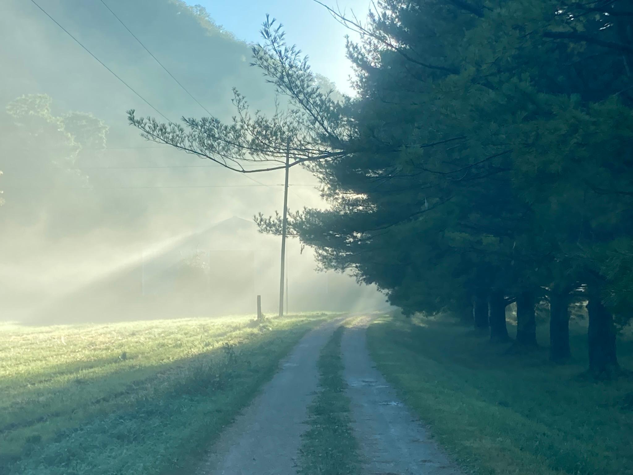 Winona, Minnesota, 55987, United States, 5 Bedrooms Bedrooms, ,2 BathroomsBathrooms,Residential,For Sale,2005788