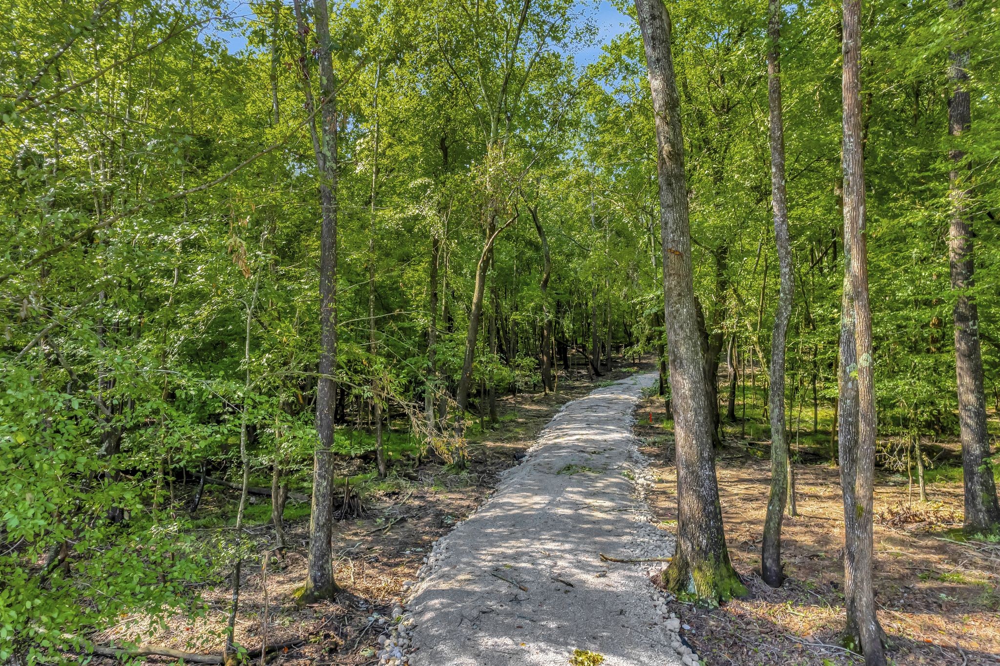 Winchester, Tennessee, 37398, United States, ,Residential,For Sale,1823097