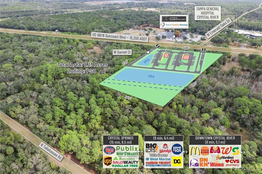 Crystal River, Florida, 34428, United States, ,Land,For Sale,2006050