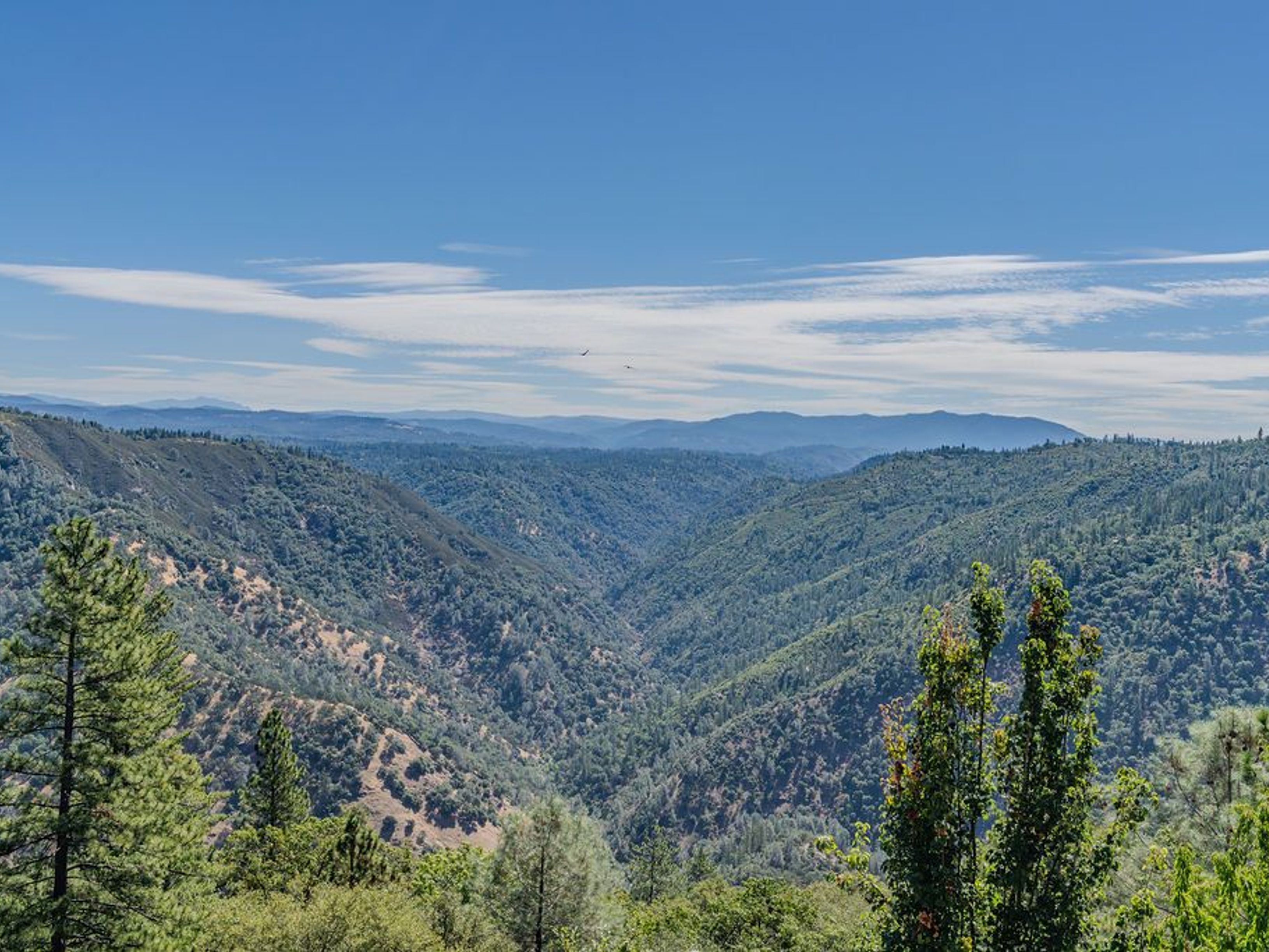  11110 Clinton Bar Road, Pine Grove, CA 95665 - 物件實景