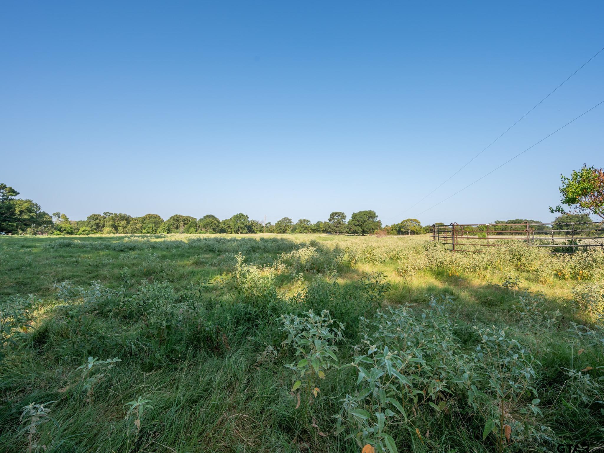Chandler, Texas, 75758, United States, ,Land,For Sale,1826674
