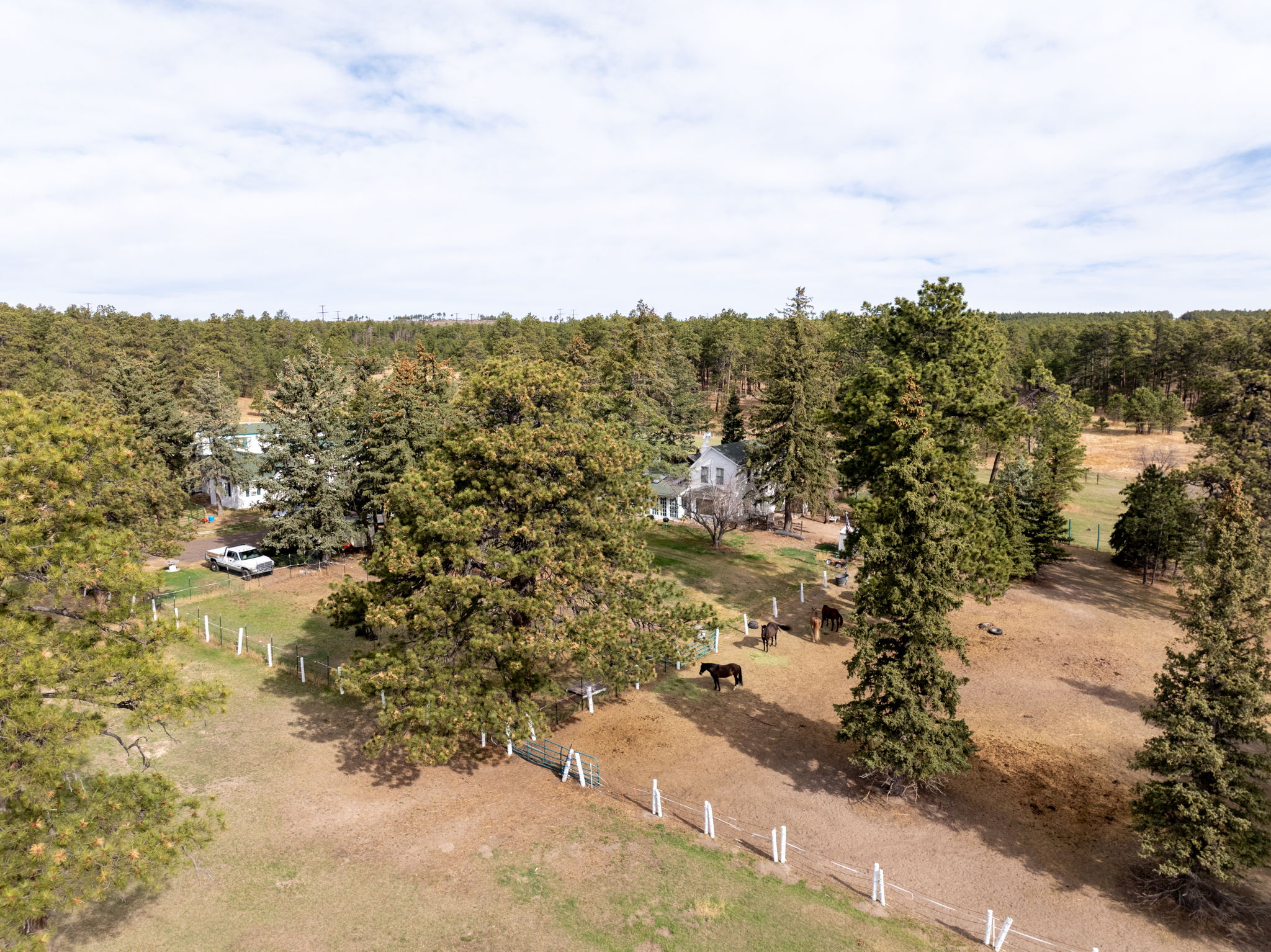  Historic Pine Run Ranch in Black Forest on rare 60 acres - 物件實景