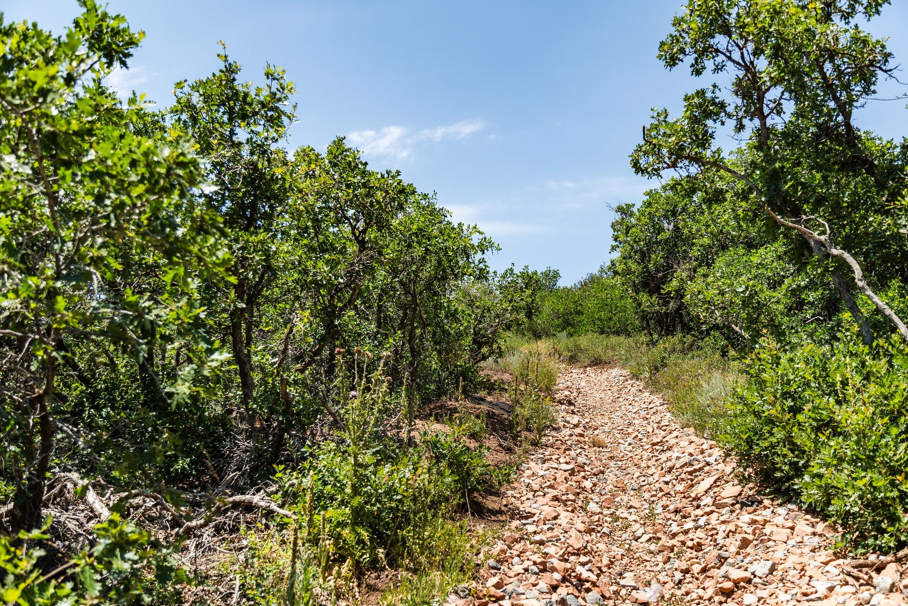  Dream Homesite in Gated Golden Eagle With Jordanelle and Mountain Views. - 物件實景