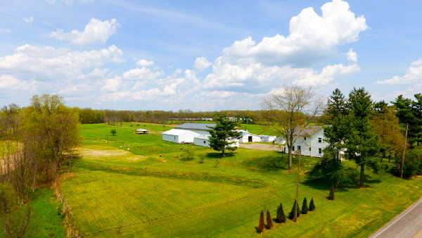 Southington, Ohio, 44470, United States, 7 Bedrooms Bedrooms, ,2 BathroomsBathrooms,Residential,For Sale,2018019