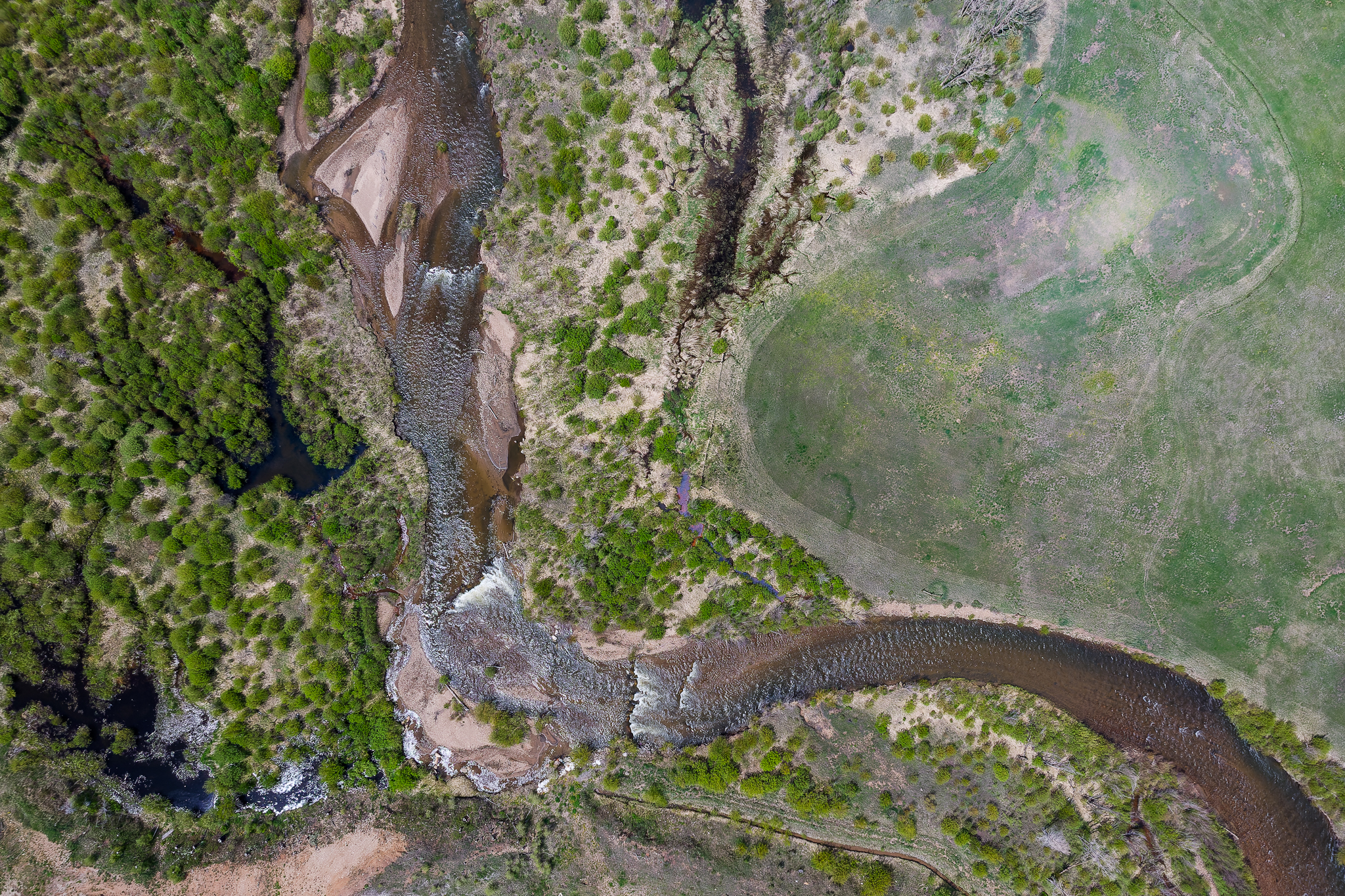  597 Gcr 4081, Granby, CO, 80446 - 物件實景