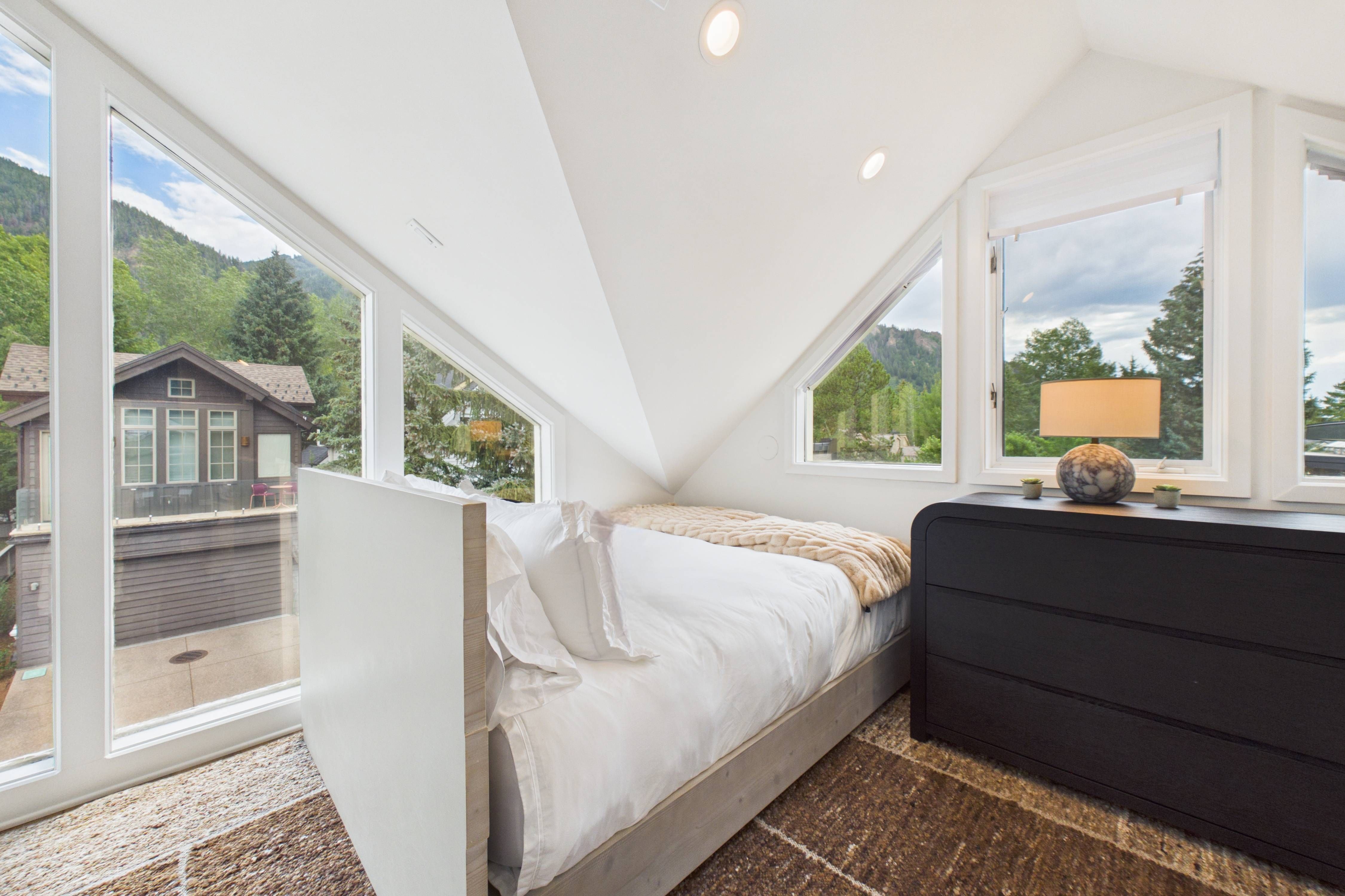  915 East Hopkins Avenue, Aspen, CO 81611 - 物件實景