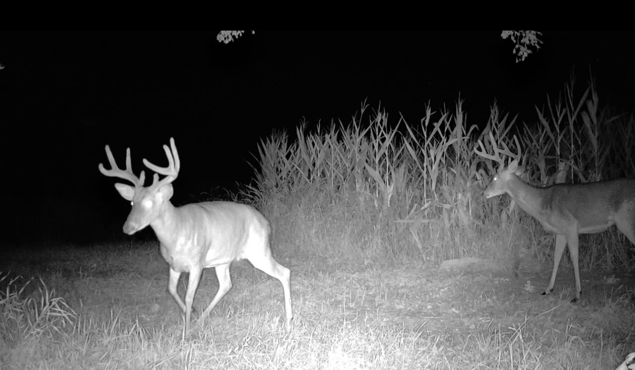 Kirksville, Missouri, 63501, United States, ,Land,For Sale,2006170