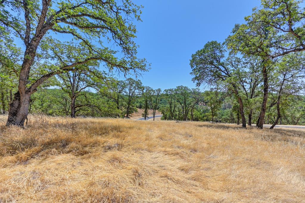 El Dorado Hills, California, 95762, United States, ,Land,For Sale,1874458