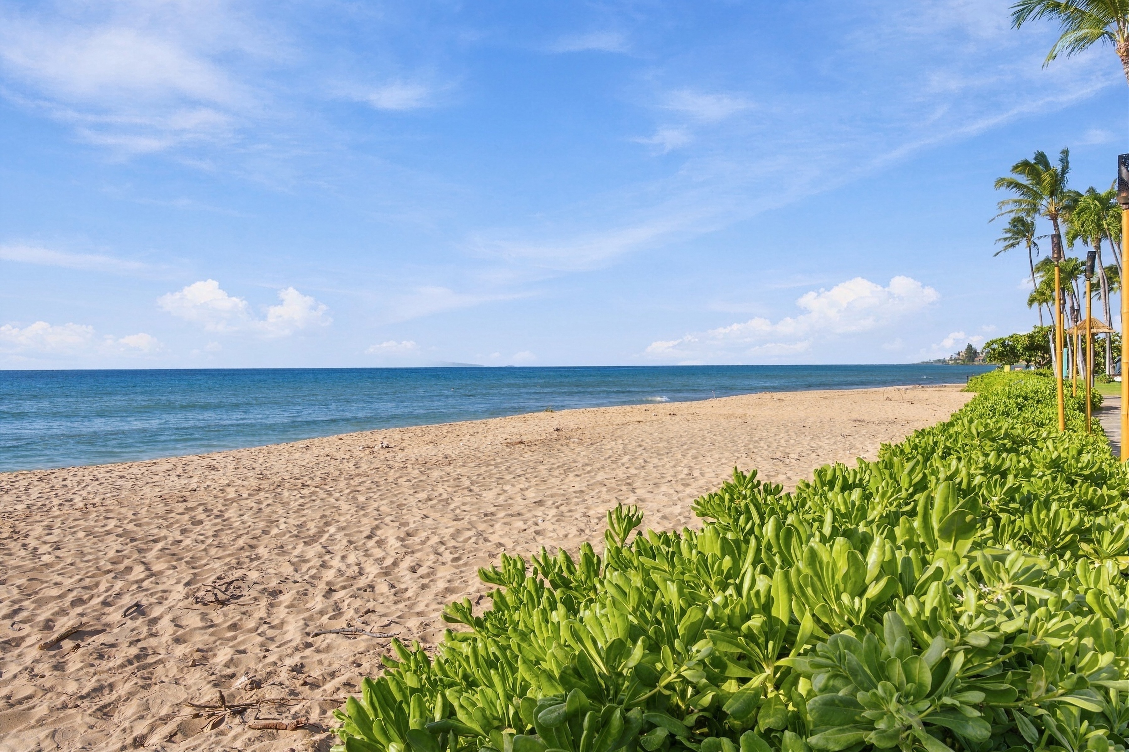  Roomy 2-Bedroom Beachfront Condo in Kaanapali - West Maui - 物件實景